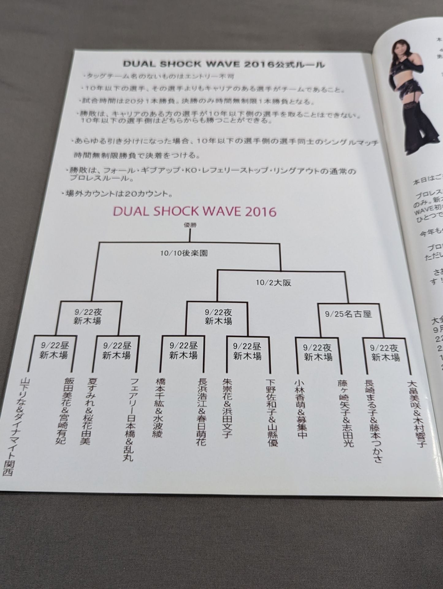 Pro-wrestling WAVE Official Brochure vol.89