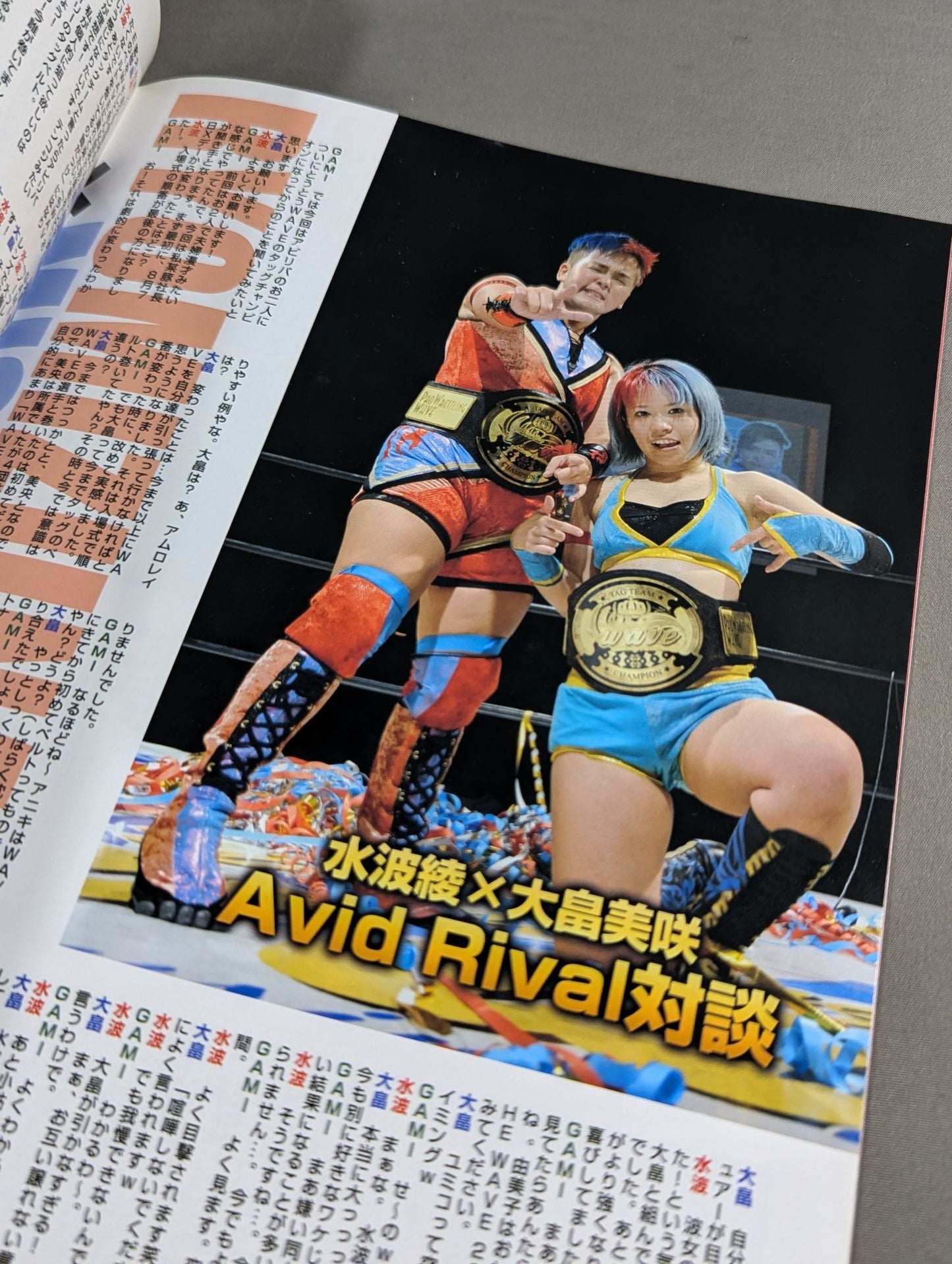 Pro-wrestling WAVE Official Brochure vol.89