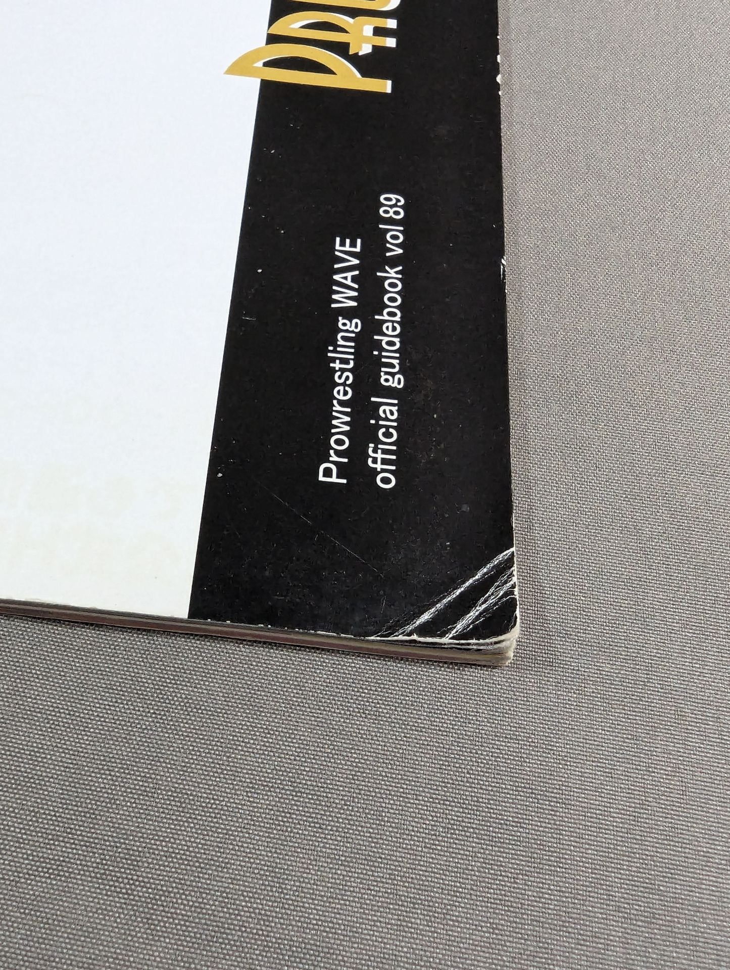 Pro-wrestling WAVE Official Brochure vol.89