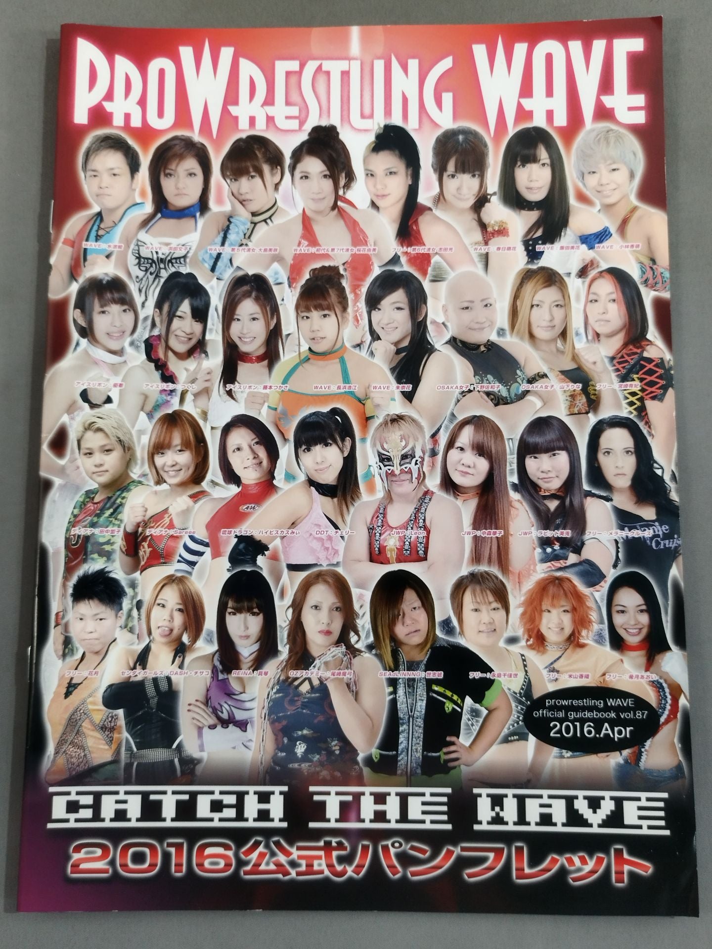 Pro-wrestling WAVE Official Brochure vol.87