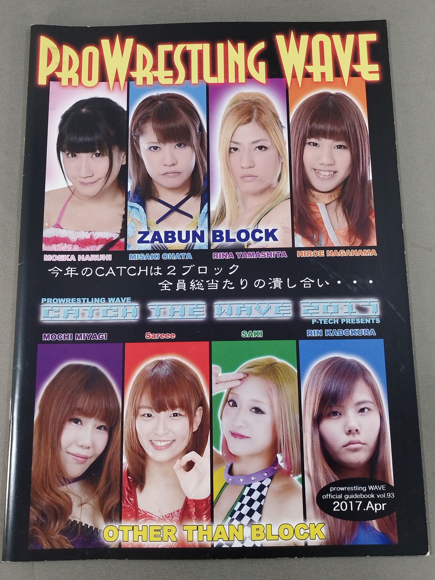 Pro-wrestling WAVE Official Brochure vol.93