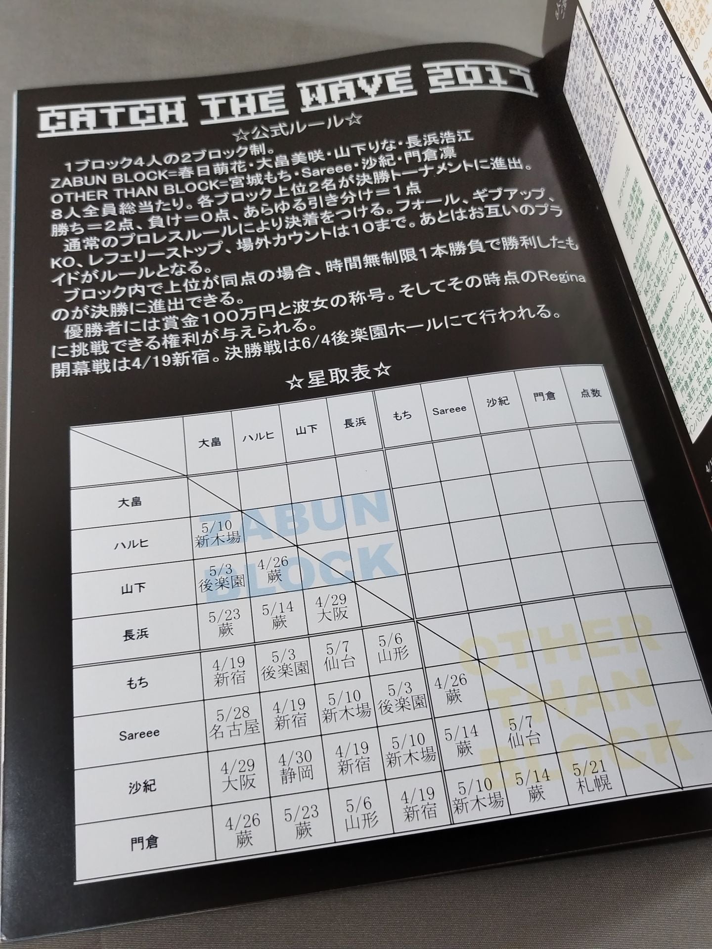 Pro-wrestling WAVE Official Brochure vol.93