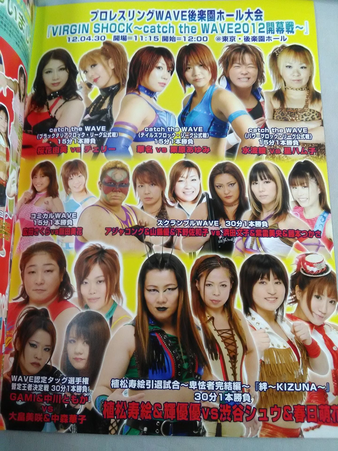 Pro-wrestling WAVE Official Brochure vol.54