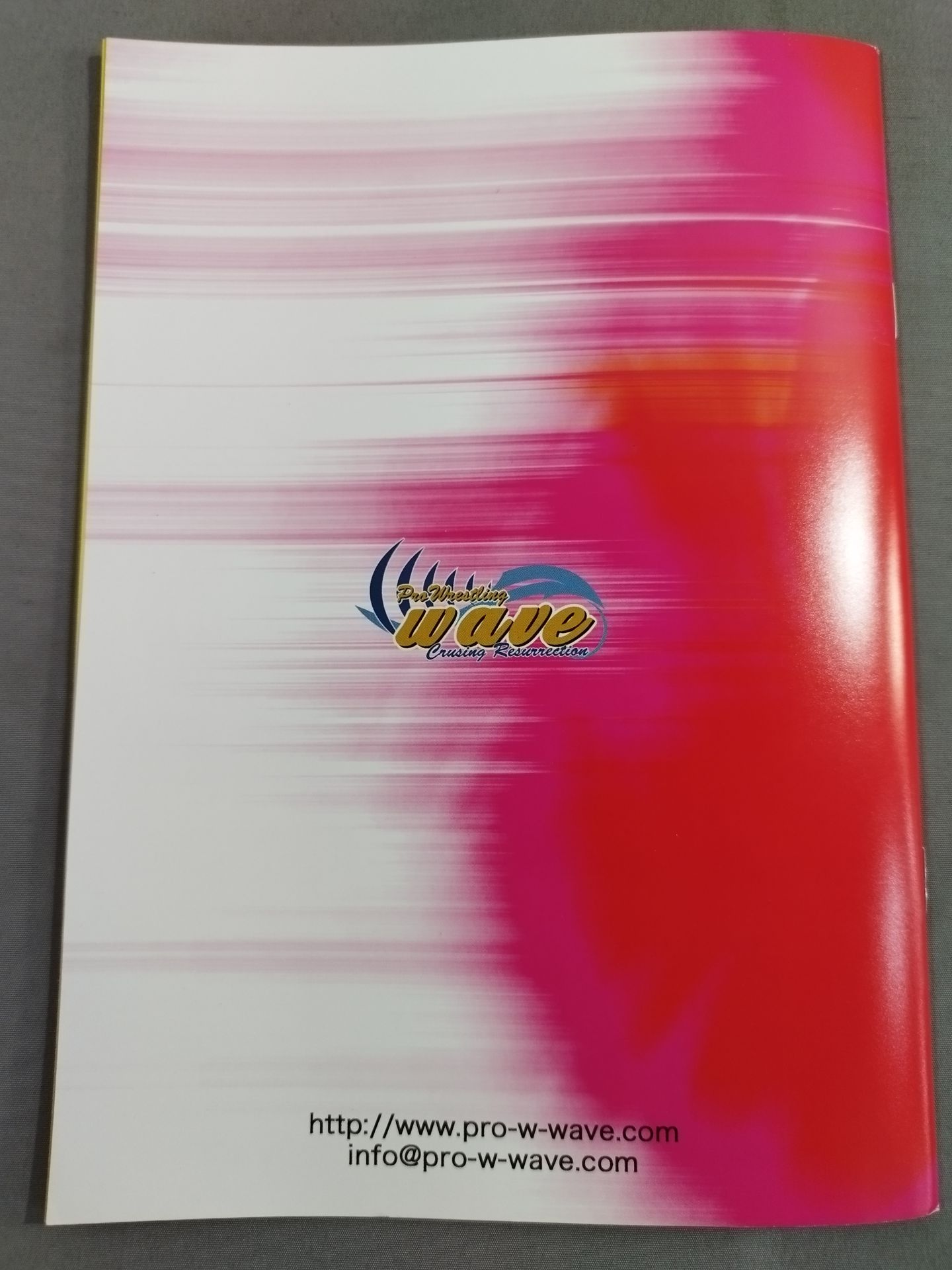CATCH THE WAVE YOUNG BLOCK OH! OH! 2016 Official Brochure