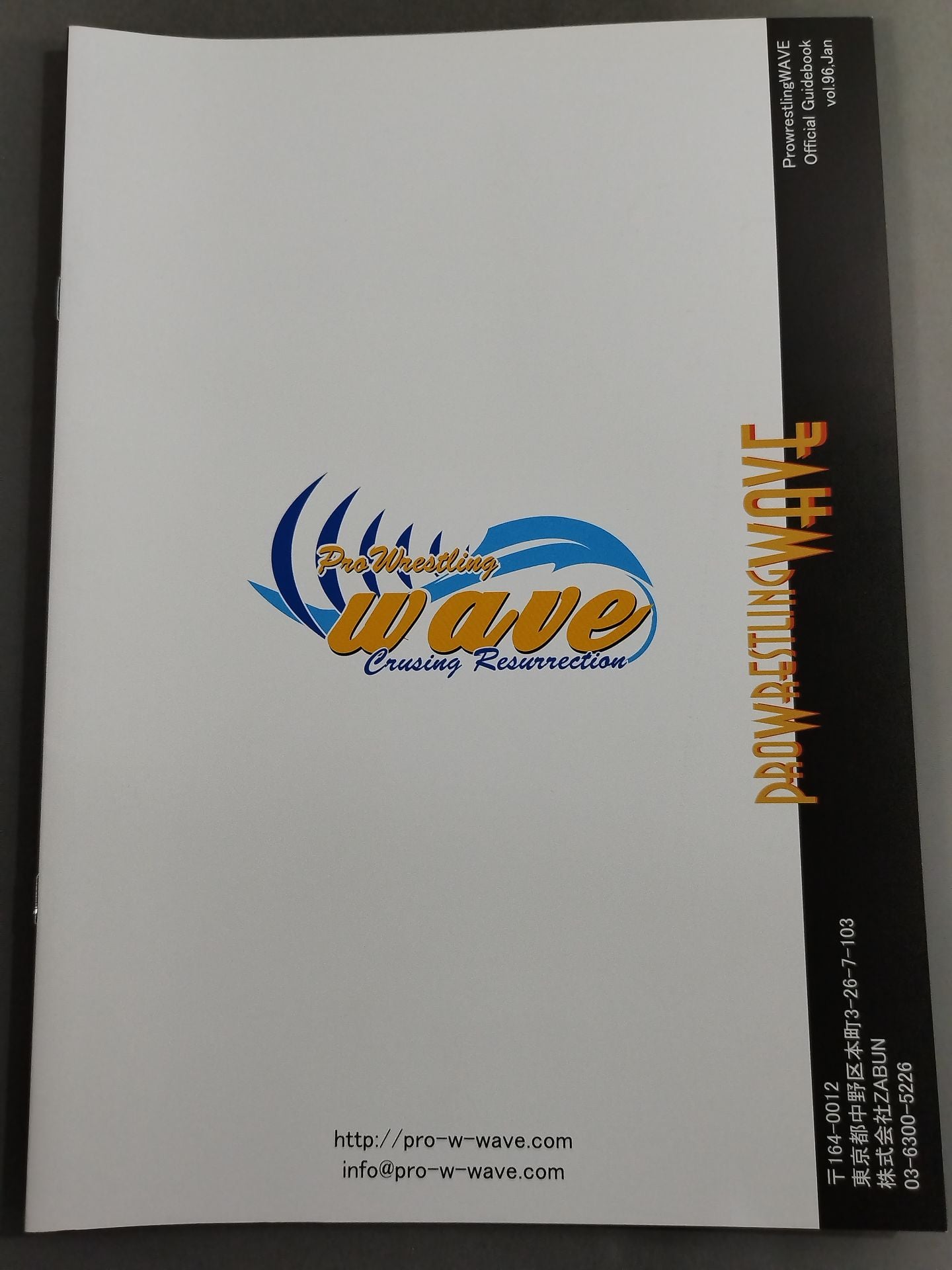 Pro-wrestling WAVE Official Brochure vol.96