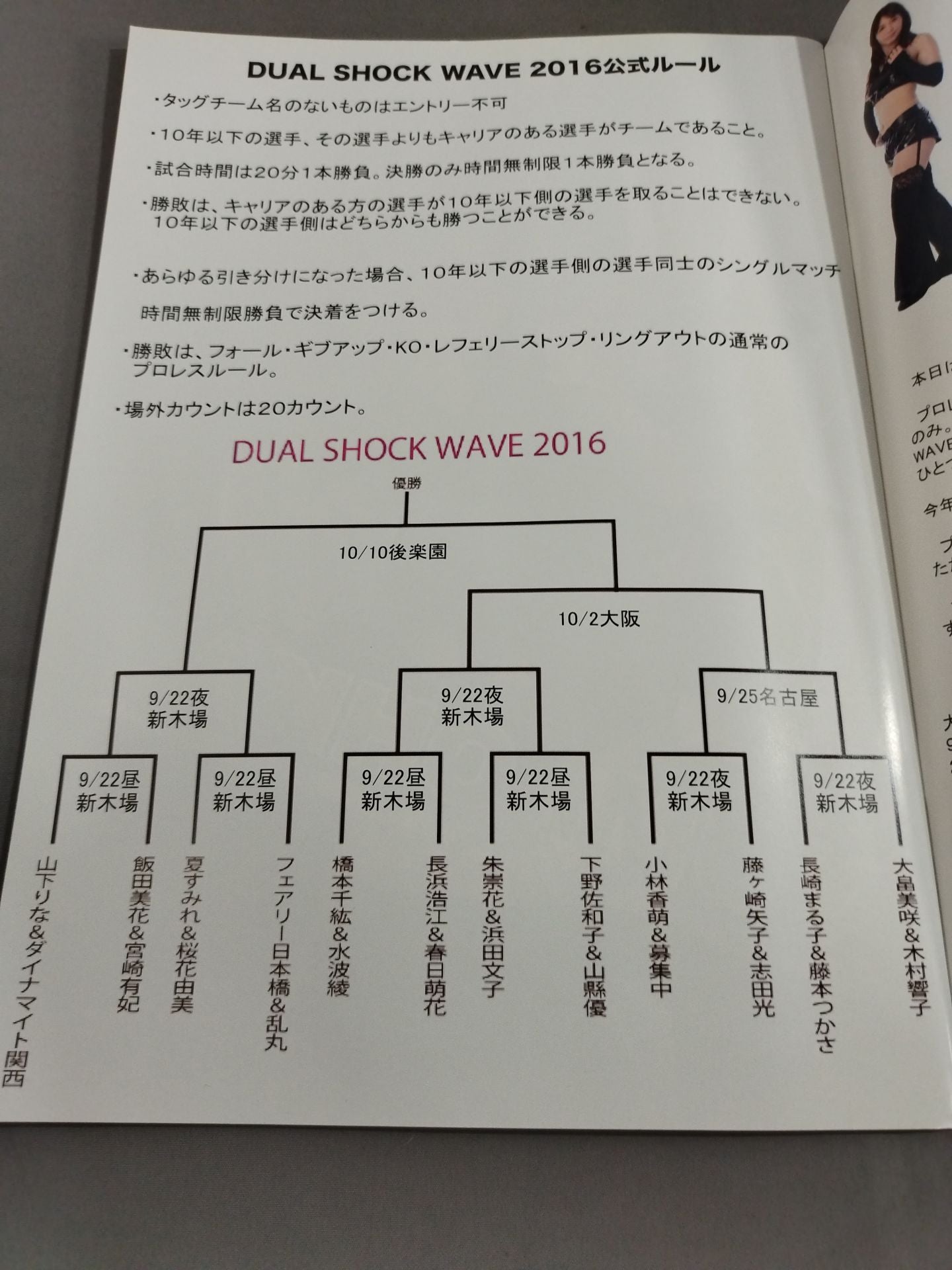 Pro-wrestling WAVE Official Brochure vol.89