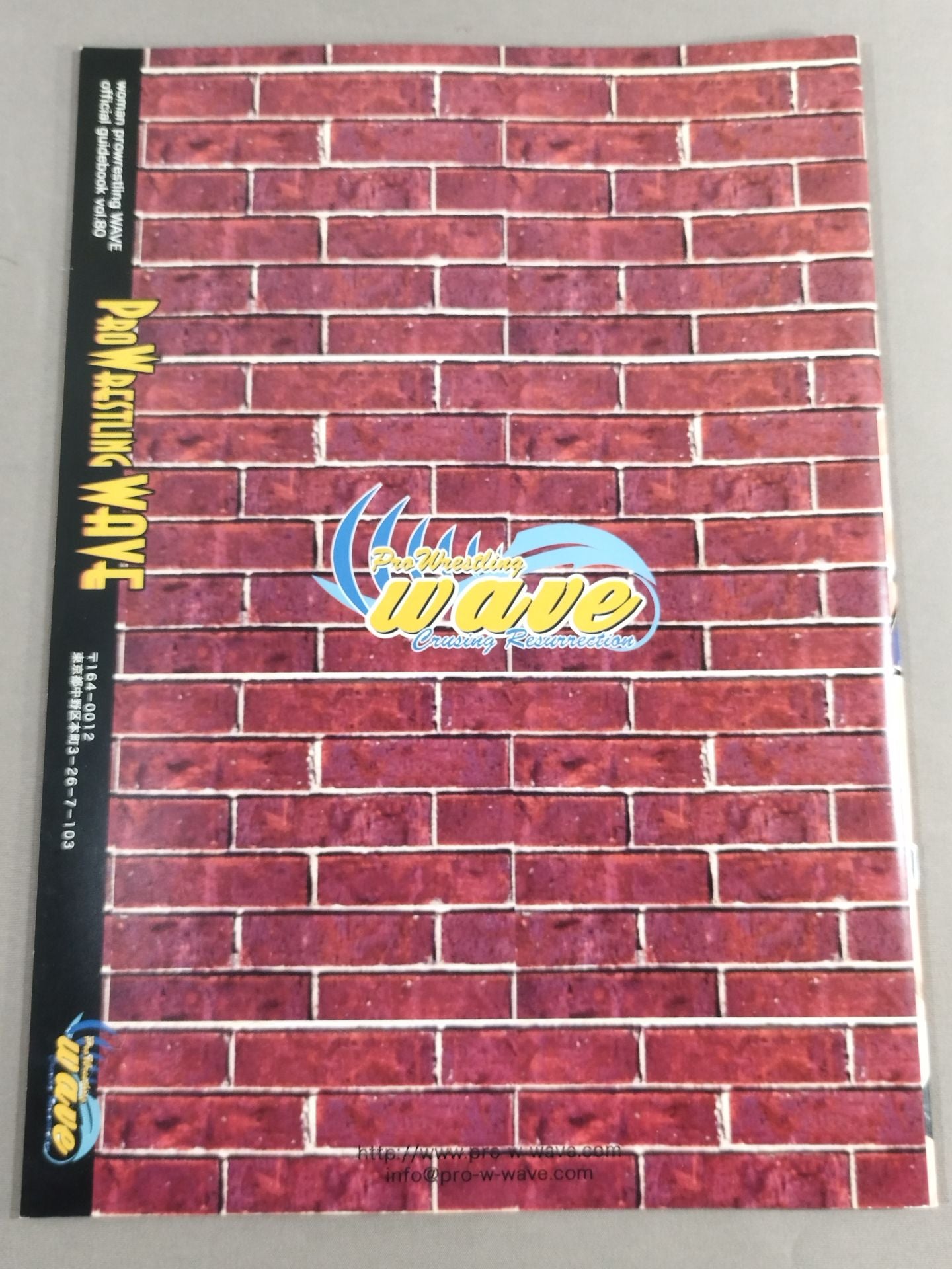 Pro-wrestling  WAVE Official Pamphlet vol.80