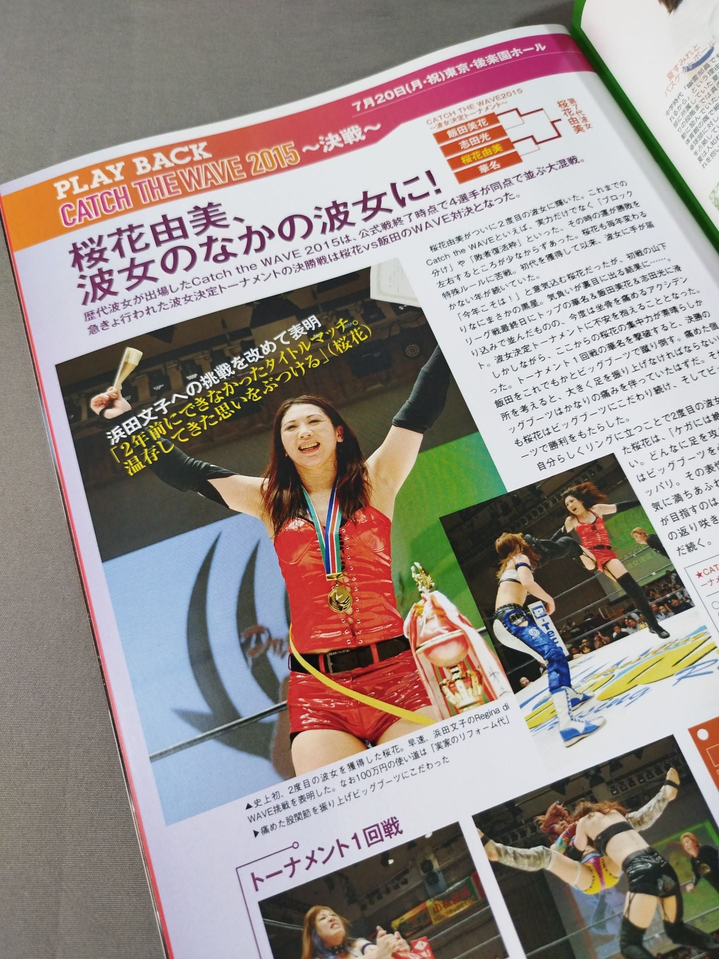 Pro-wrestling WAVE Official Brochure vol.82