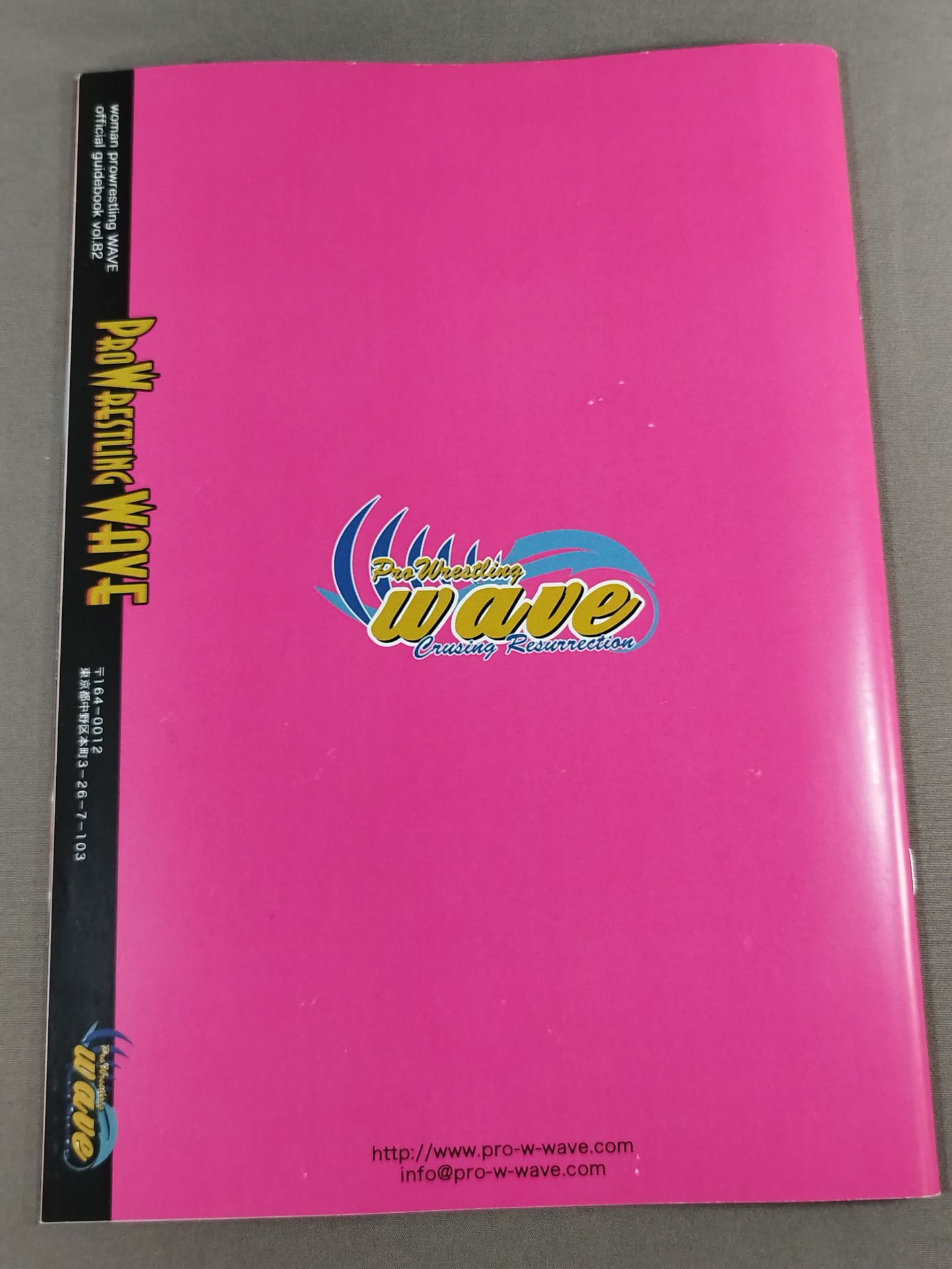 Pro-wrestling WAVE Official Brochure vol.82