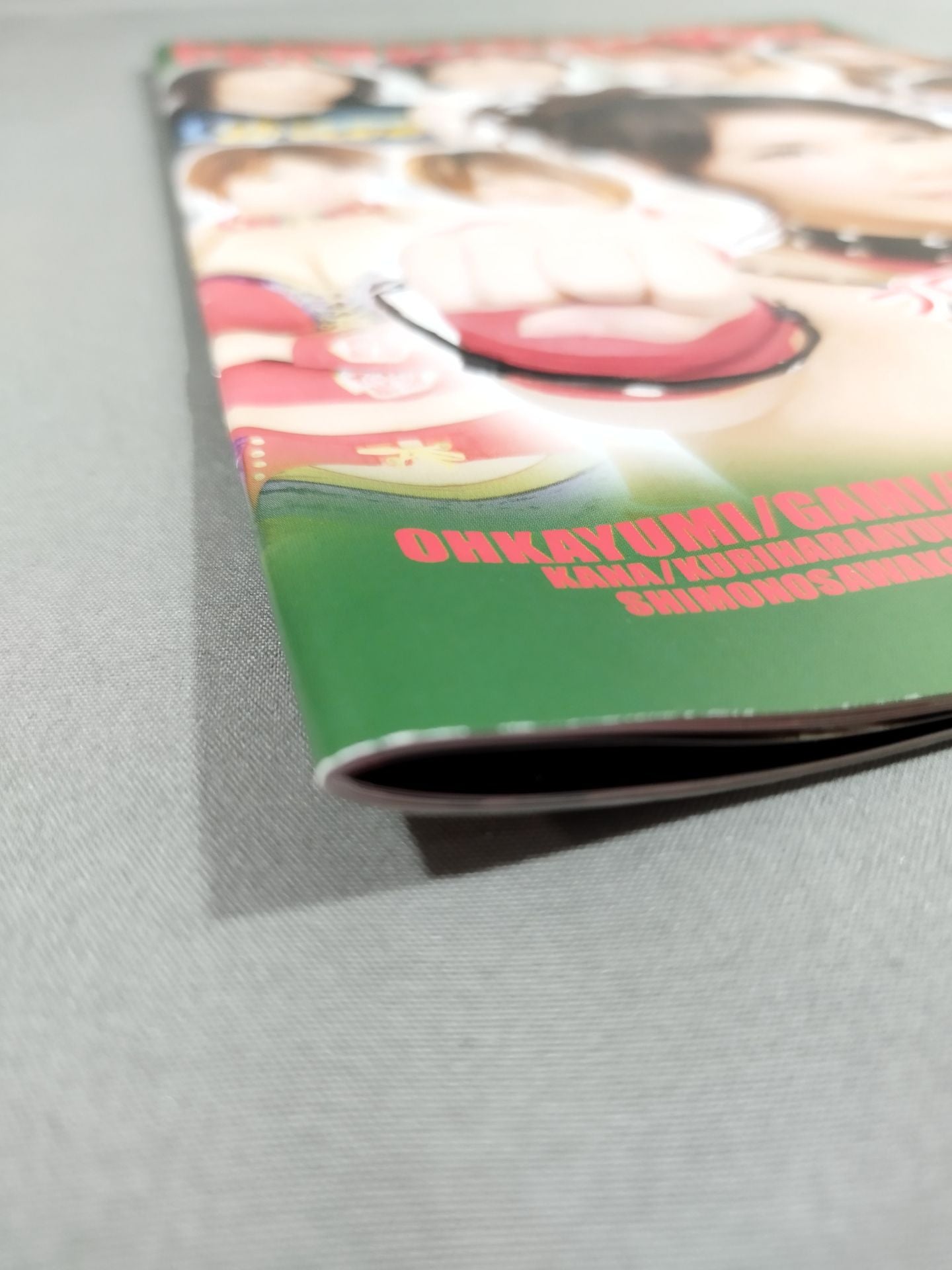 [2 fighters hand signed autograph Pro-wrestling WAVE Official Pamphlet vol.51