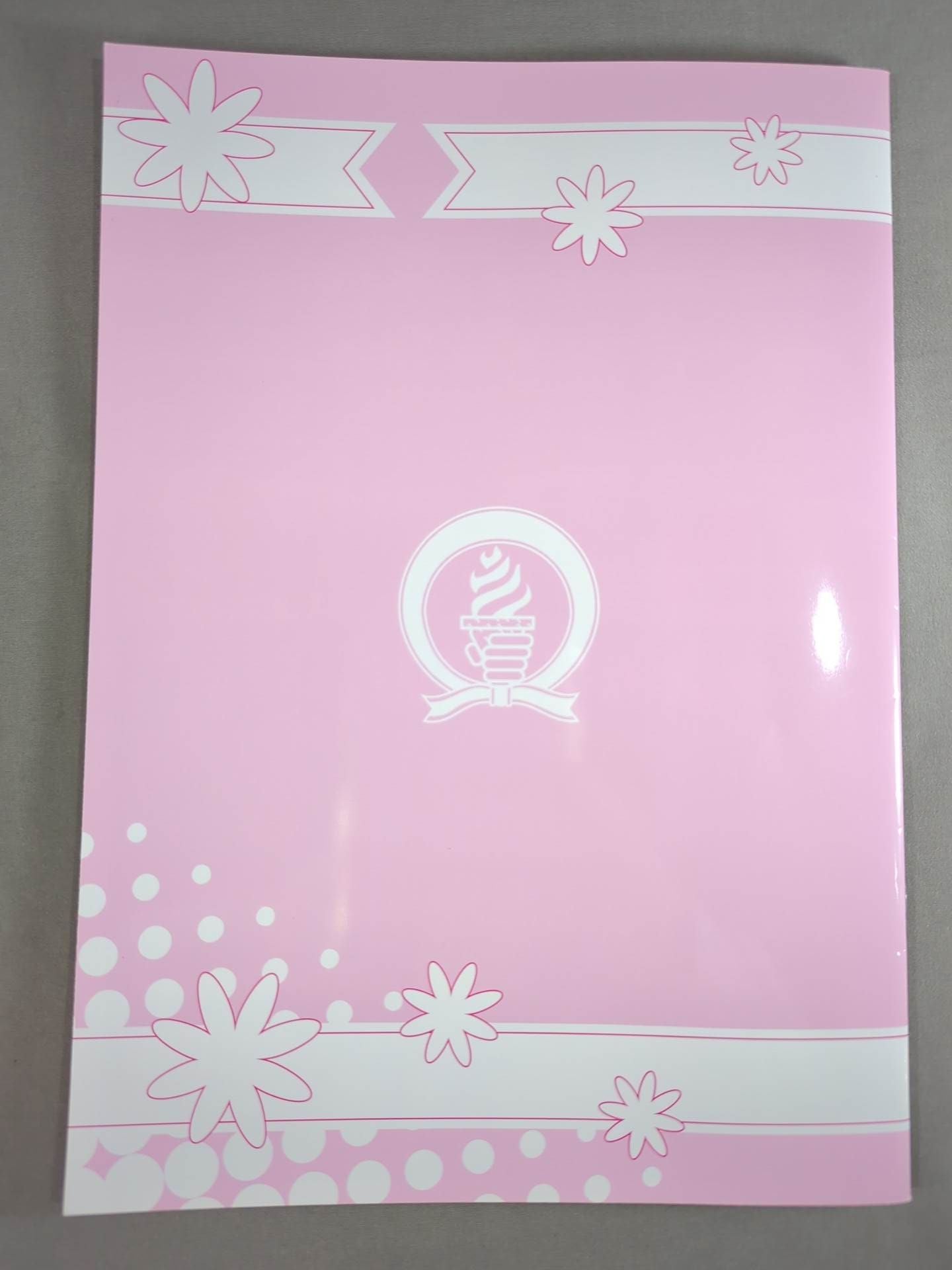 2010アイスリボン オフィシャルパンフレット