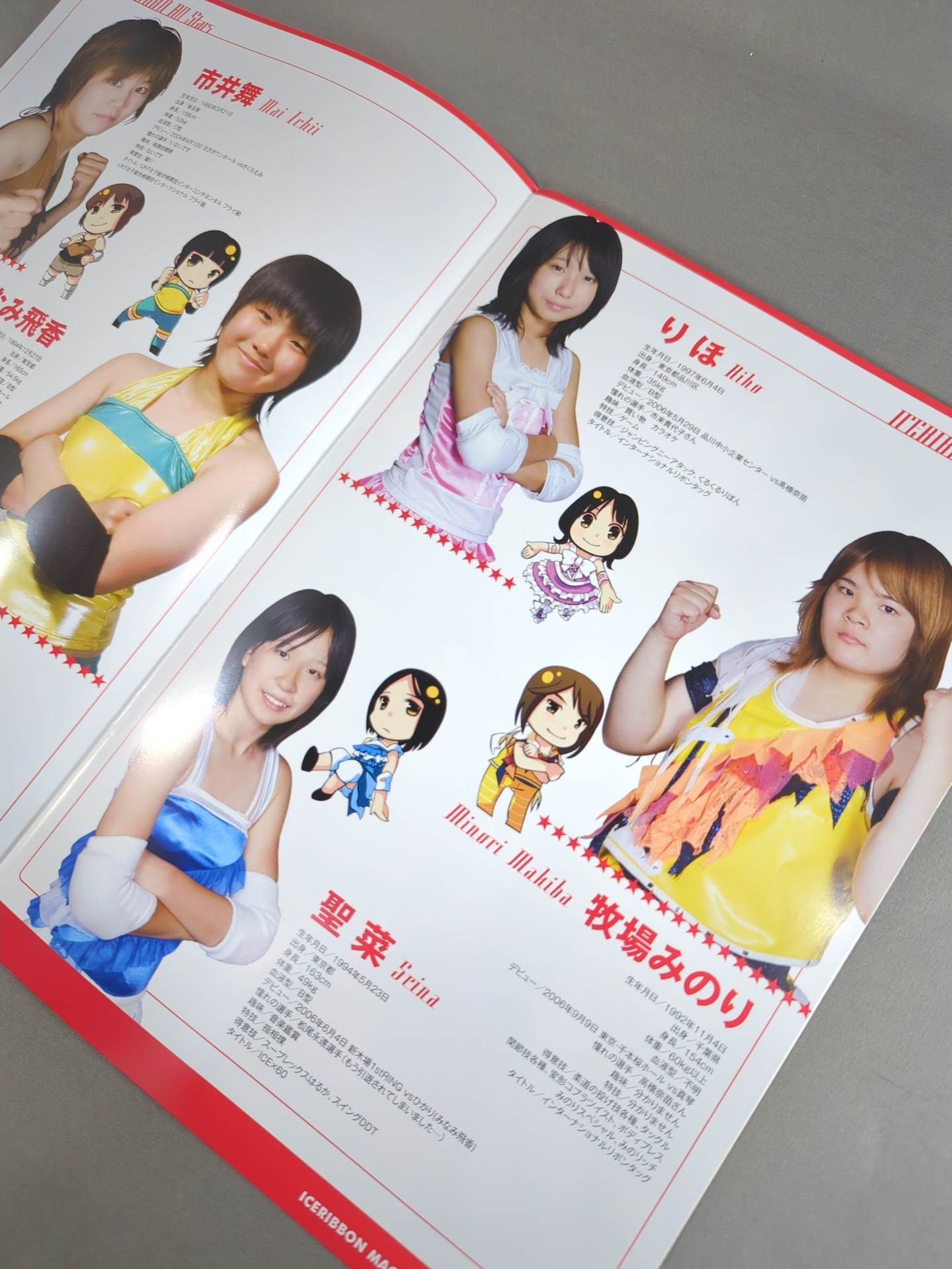 2009アイスリボンマガジン 冬季号