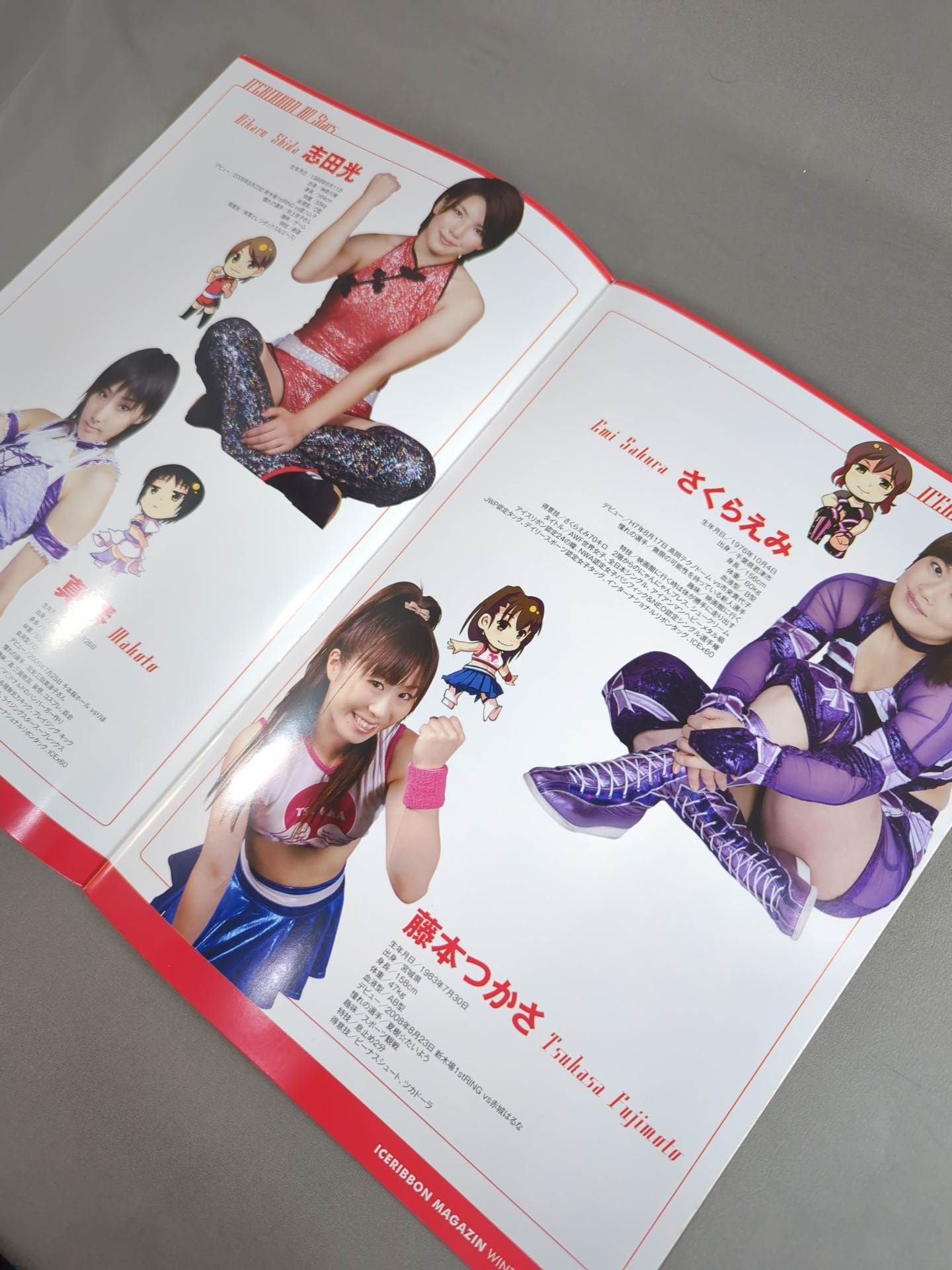 2009アイスリボンマガジン 冬季号