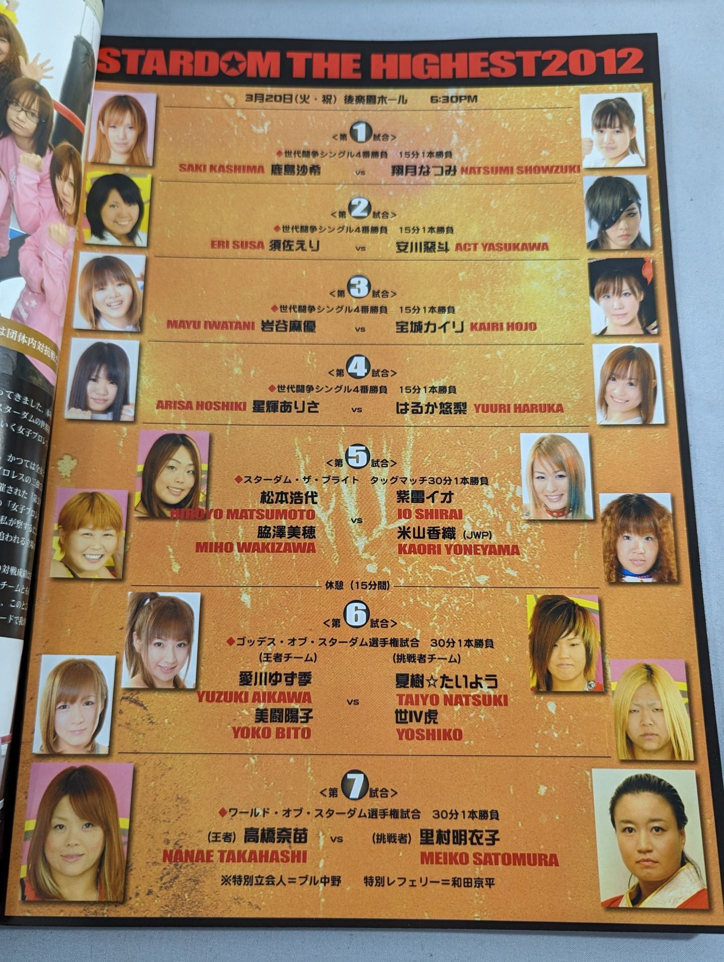 STARDOM OFFICIAL GUIDE BOOK Vol.11