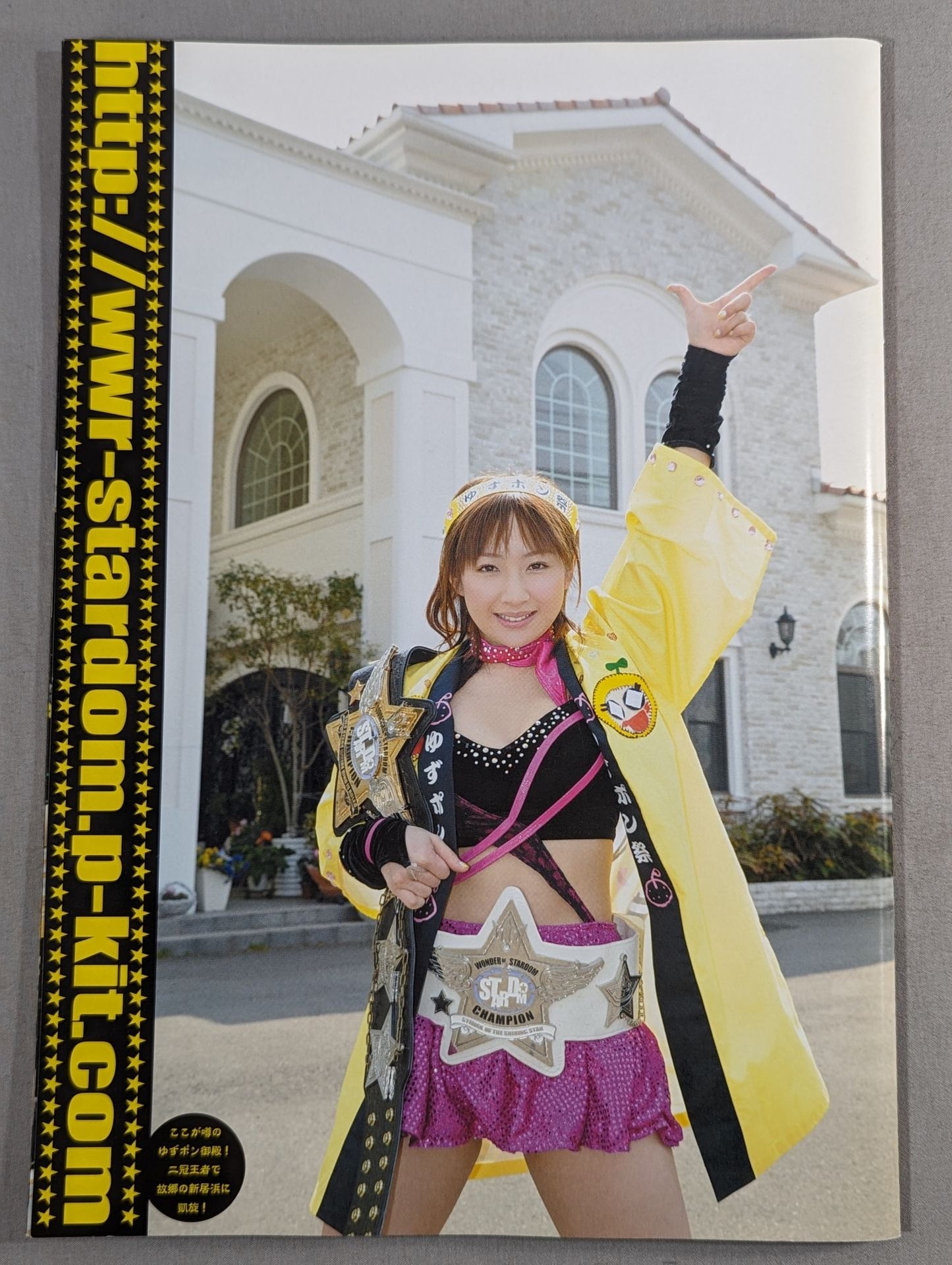 STARDOM OFFICIAL GUIDE BOOK Vol.16