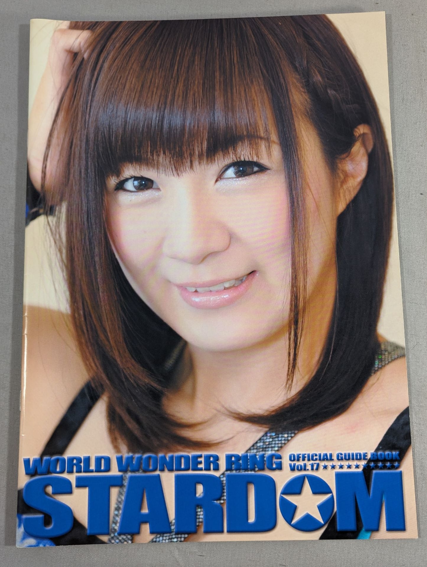 STARDOM OFFICIAL GUIDE BOOK Vol.17