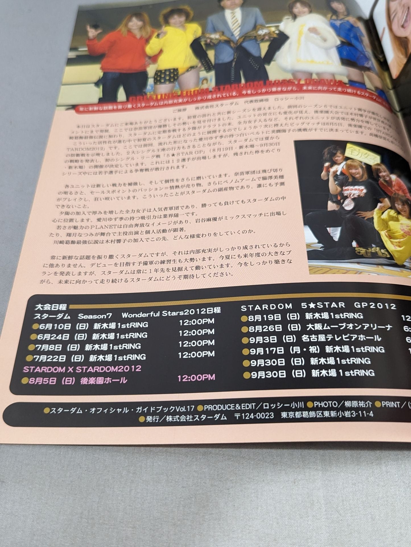 STARDOM OFFICIAL GUIDE BOOK Vol.17