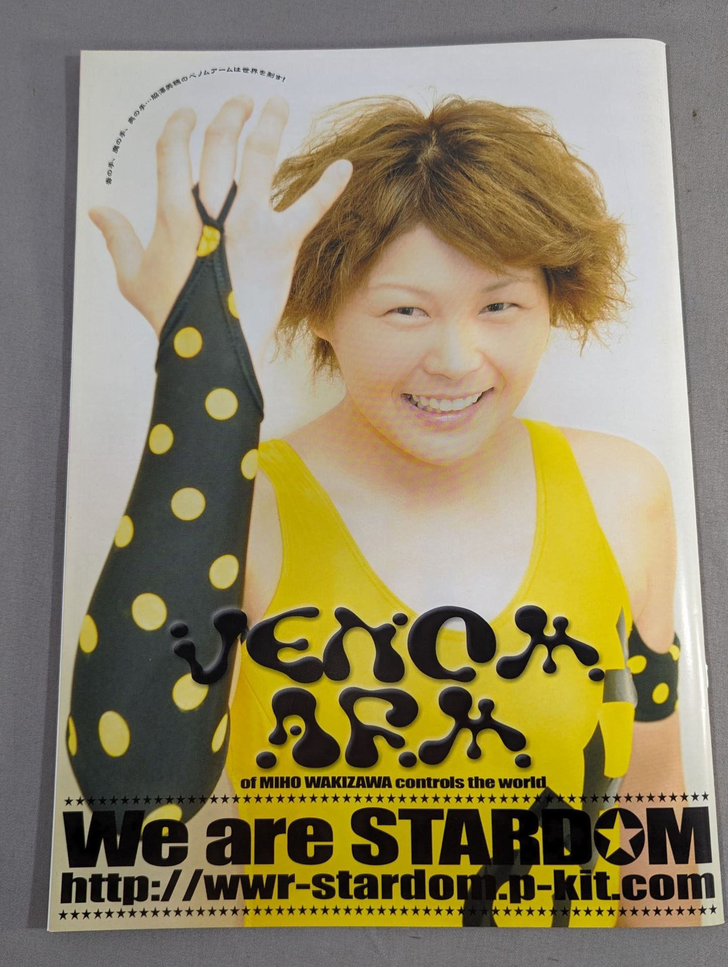 STARDOM OFFICIAL GUIDE BOOK Vol.17