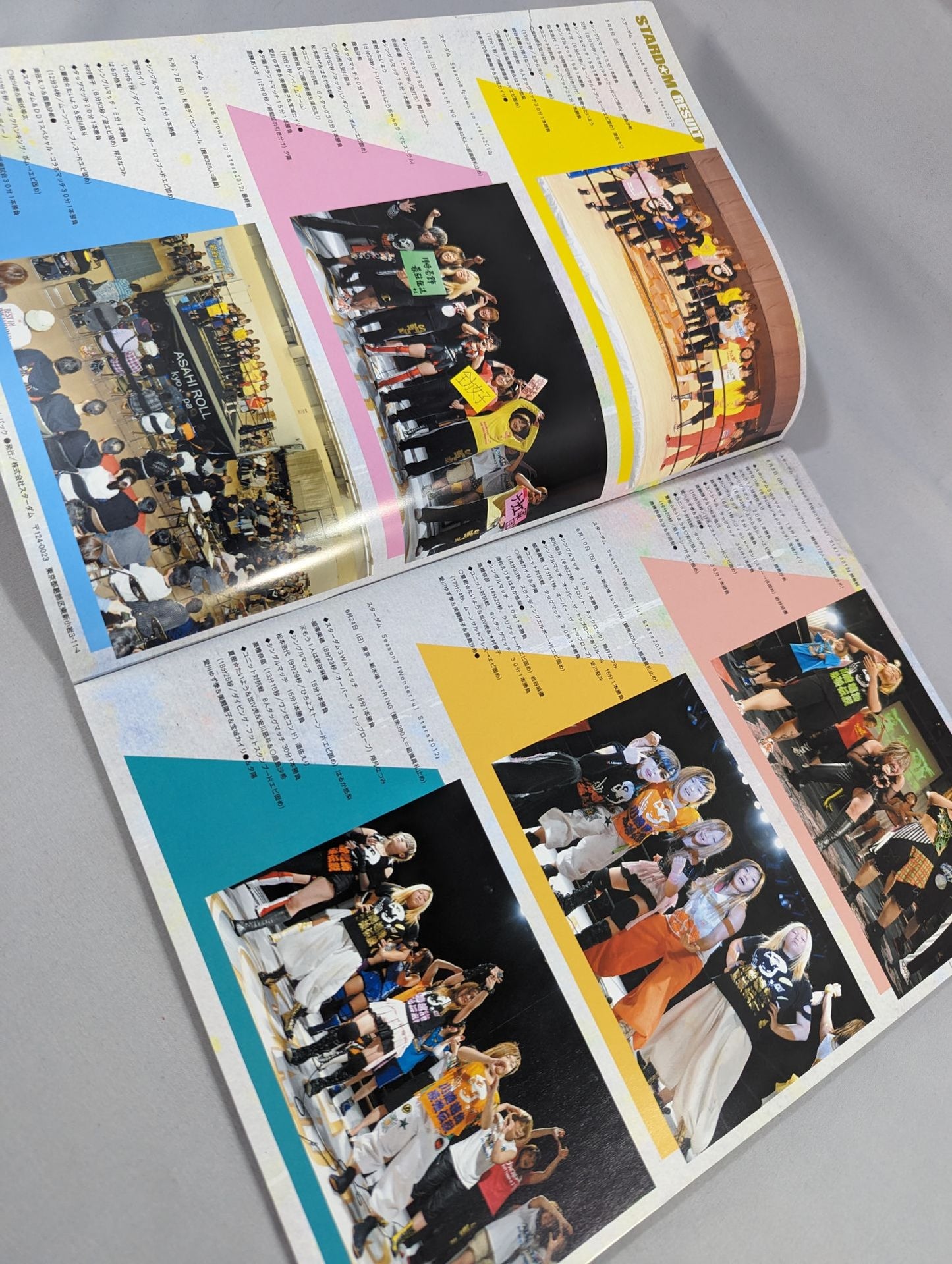 STARDOM OFFICIAL GUIDE BOOK Vol.18