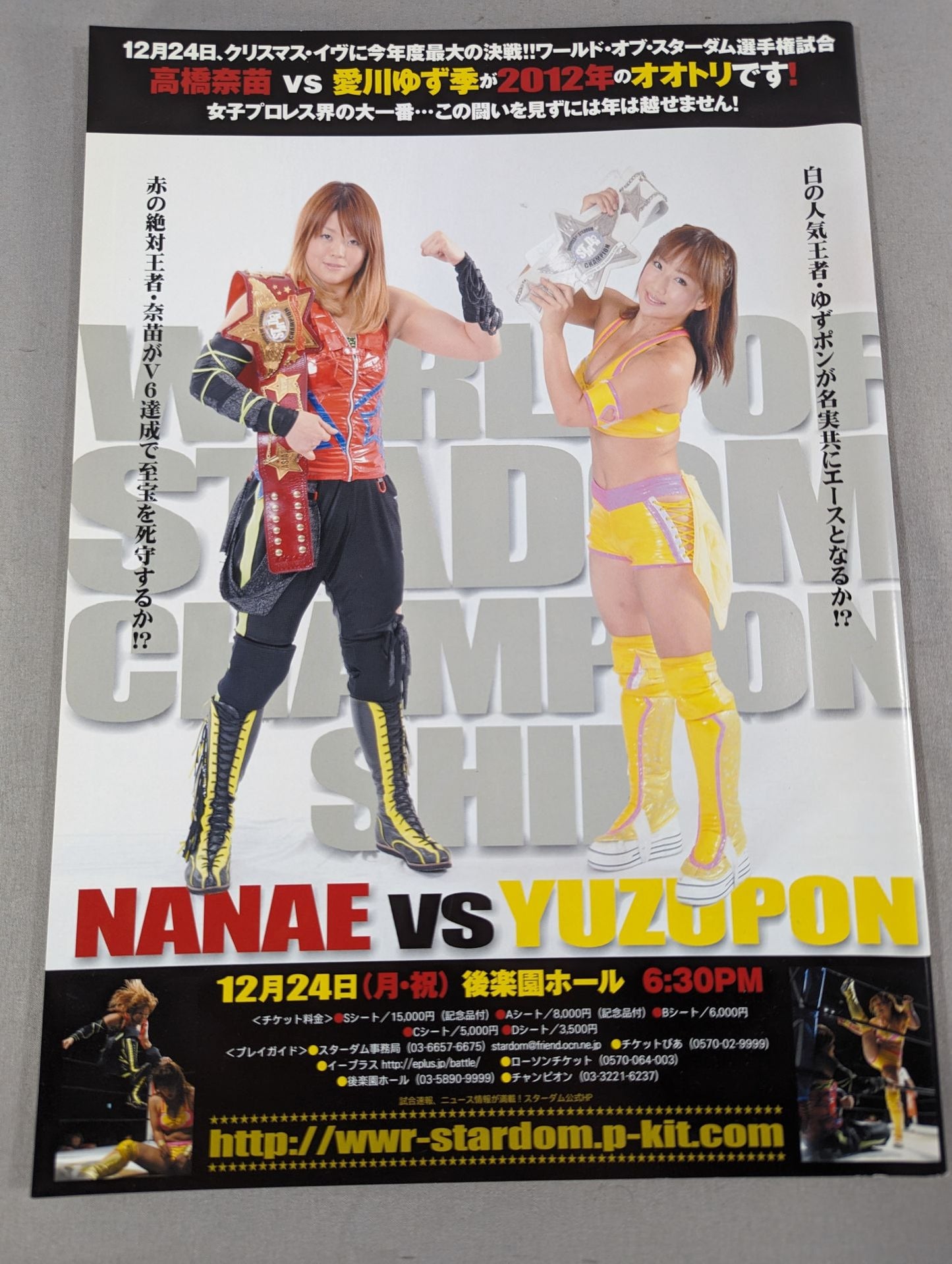 STARDOM OFFICIAL GUIDE BOOK Vol.23