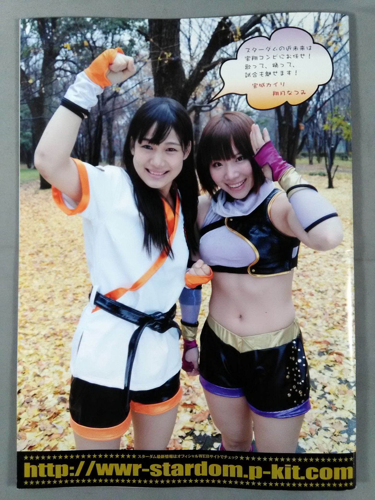 STARDOM OFFICIAL GUIDE BOOK Vol.26