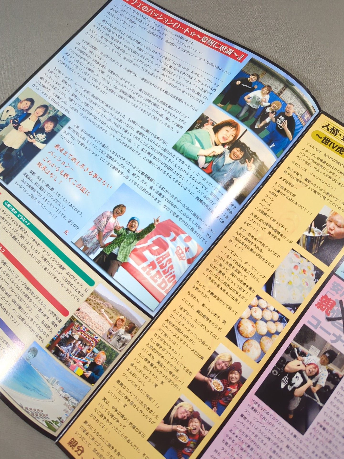 WE ARE STARDOM SFC会報No.4