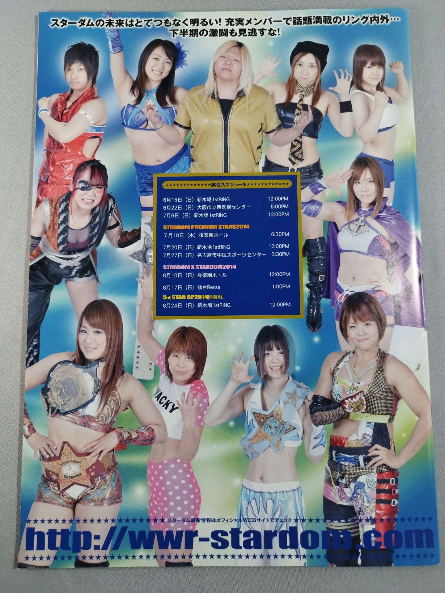 STARDOM OFFICIAL GUIDE BOOK Vol.46