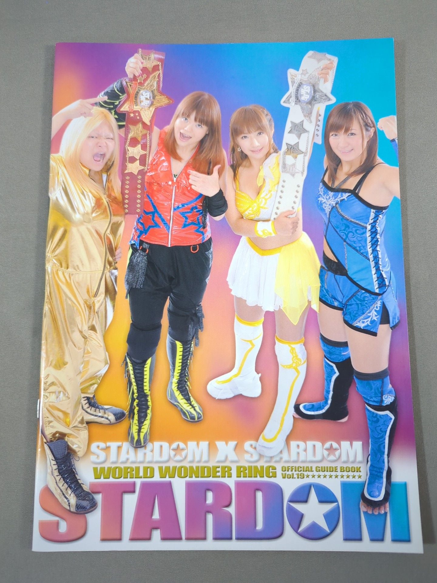 STARDOM OFFICIAL GUIDE BOOK Vol.19