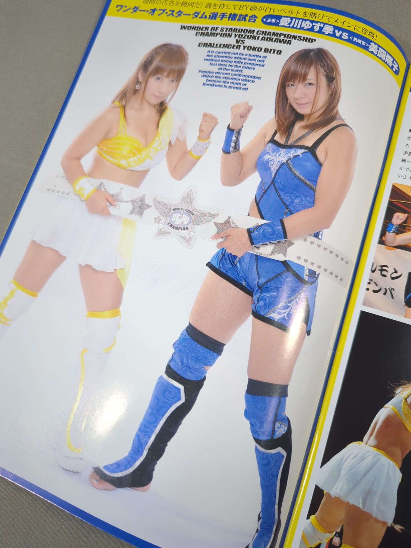 STARDOM OFFICIAL GUIDE BOOK Vol.19