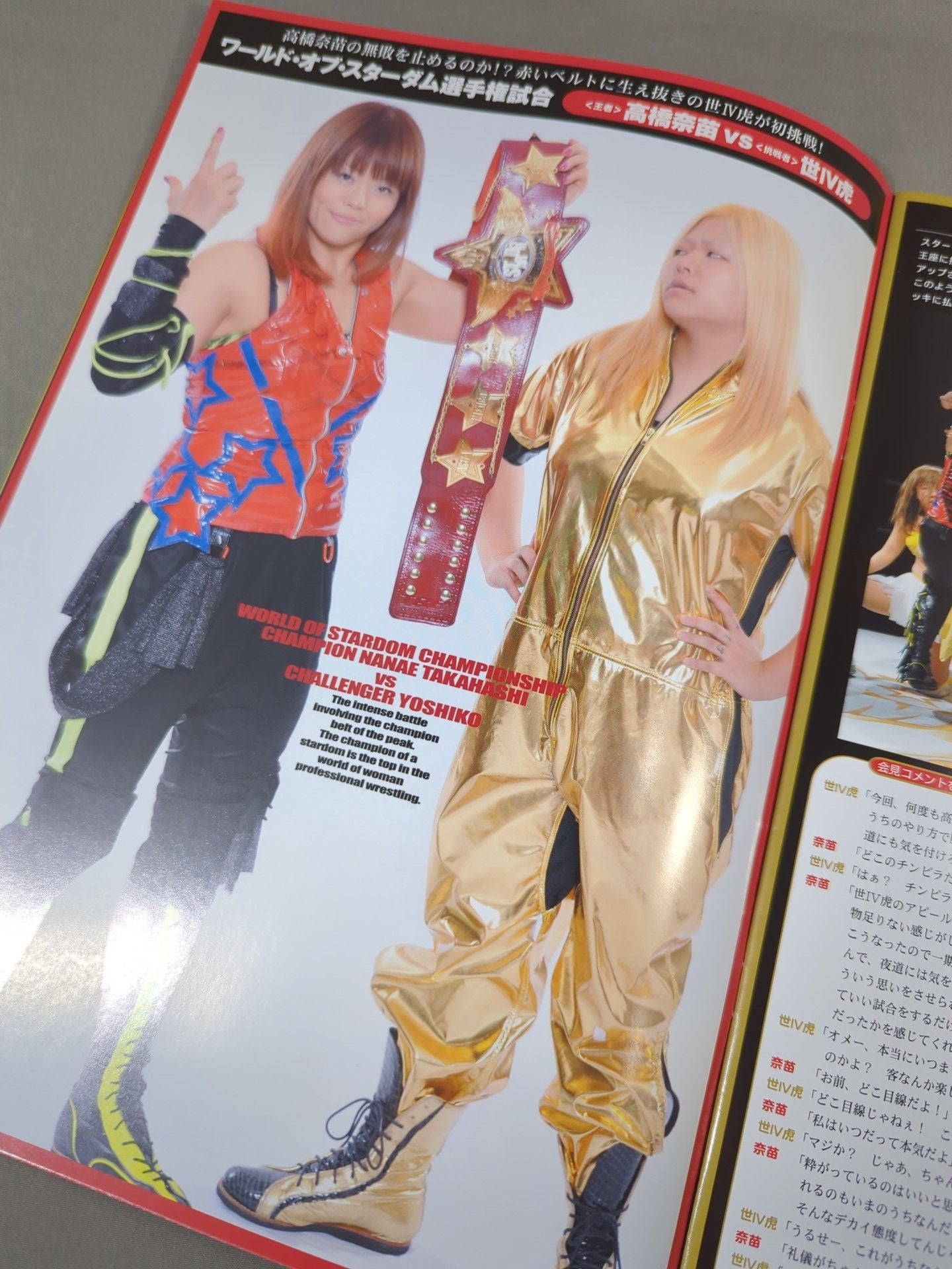 STARDOM OFFICIAL GUIDE BOOK Vol.19