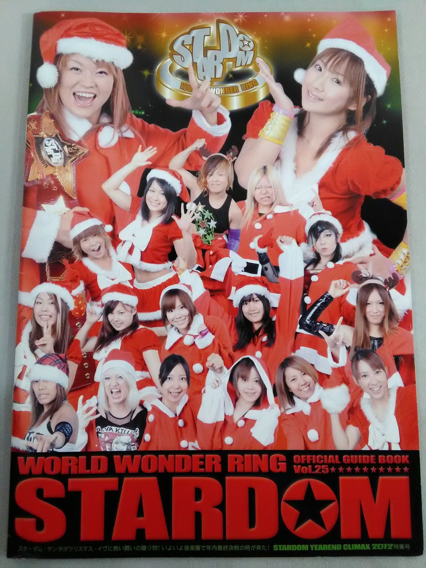 STARDOM OFFICIAL GUIDE BOOK Vol.25