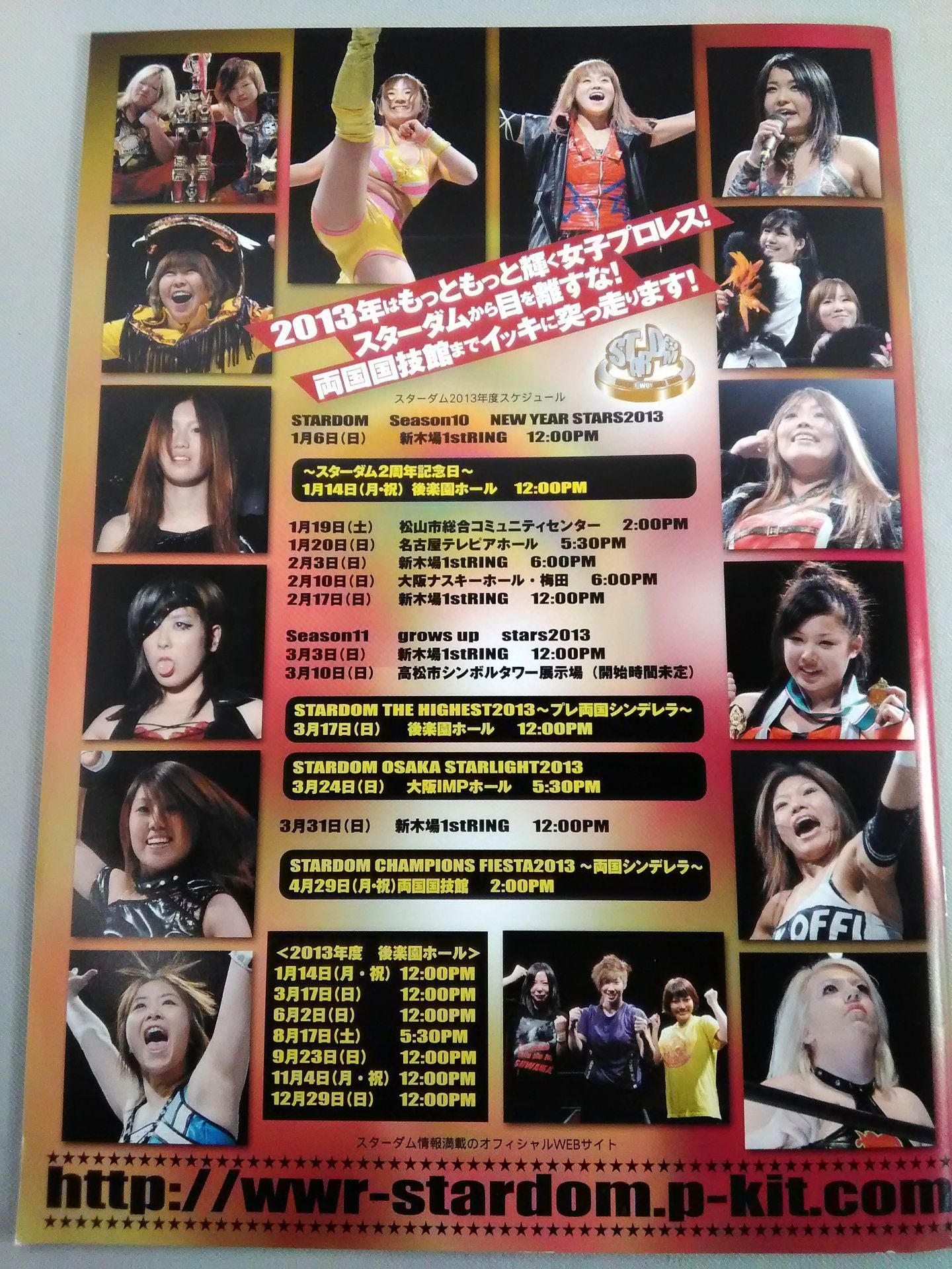 STARDOM OFFICIAL GUIDE BOOK Vol.25