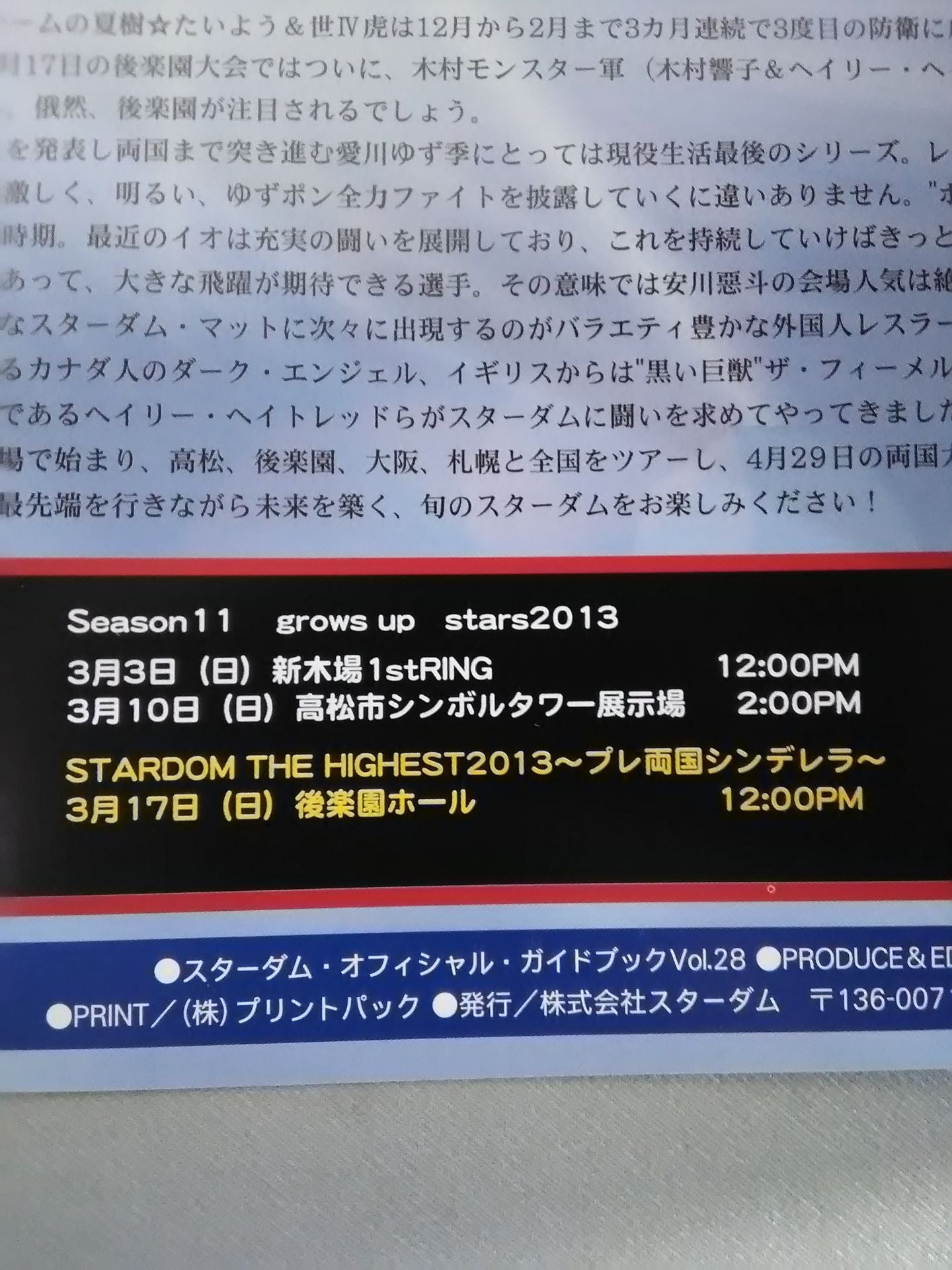 STARDOM OFFICIAL GUIDE BOOK Vol.28