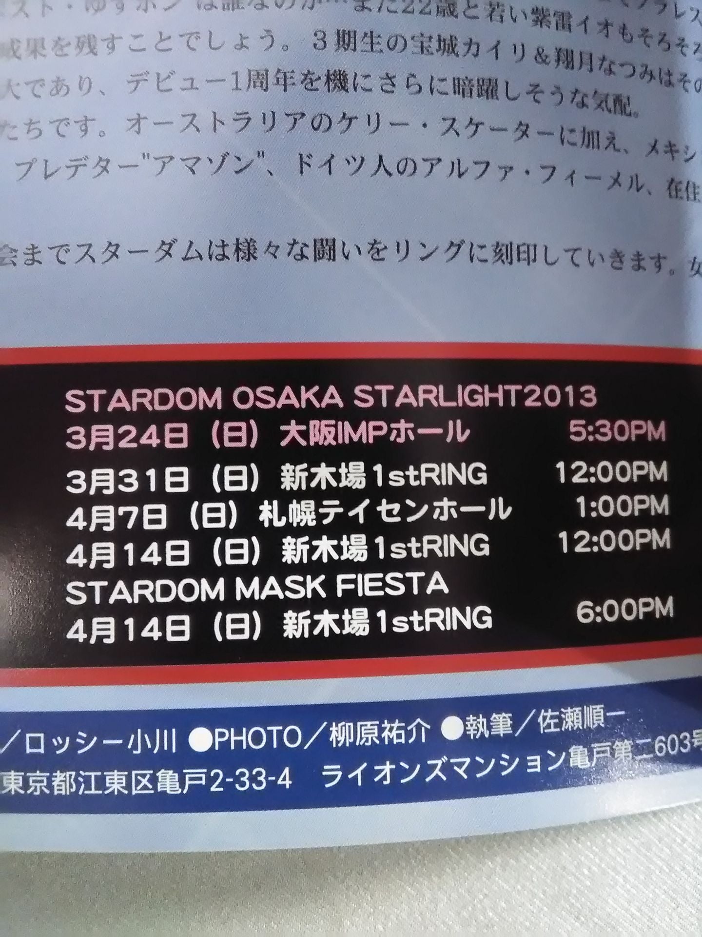 STARDOM OFFICIAL GUIDE BOOK Vol.28