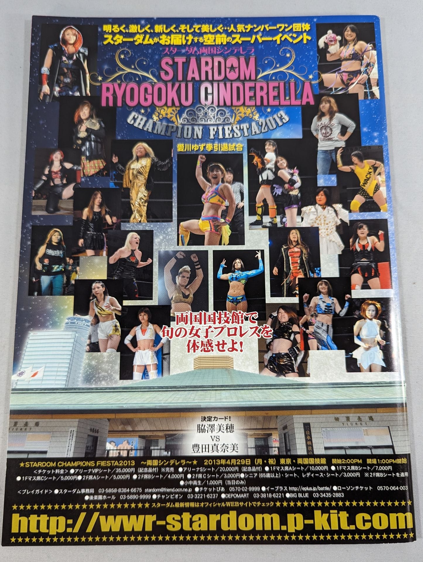 STARDOM OFFICIAL GUIDE BOOK Vol.28