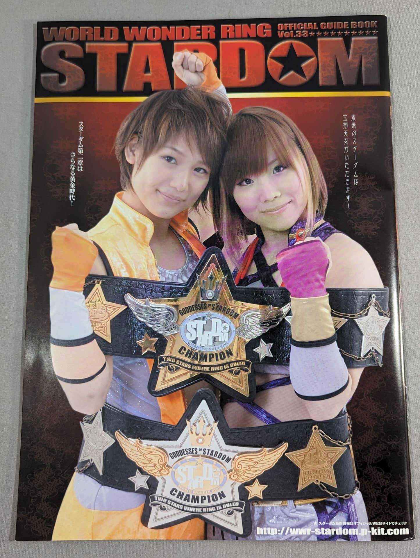 STARDOM OFFICIAL GUIDE BOOK Vol.33