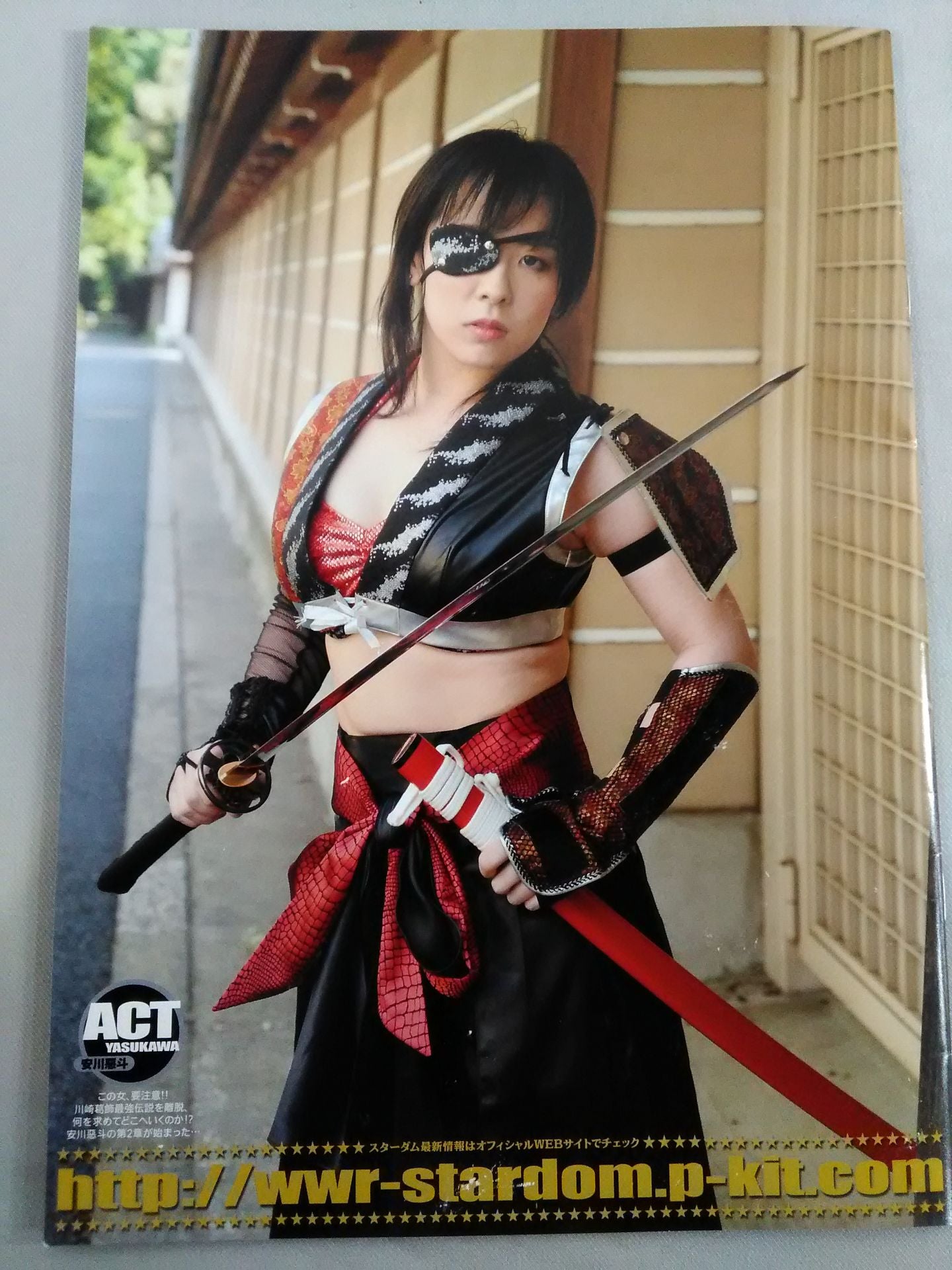 STARDOM OFFICIAL GUIDE BOOK Vol.36