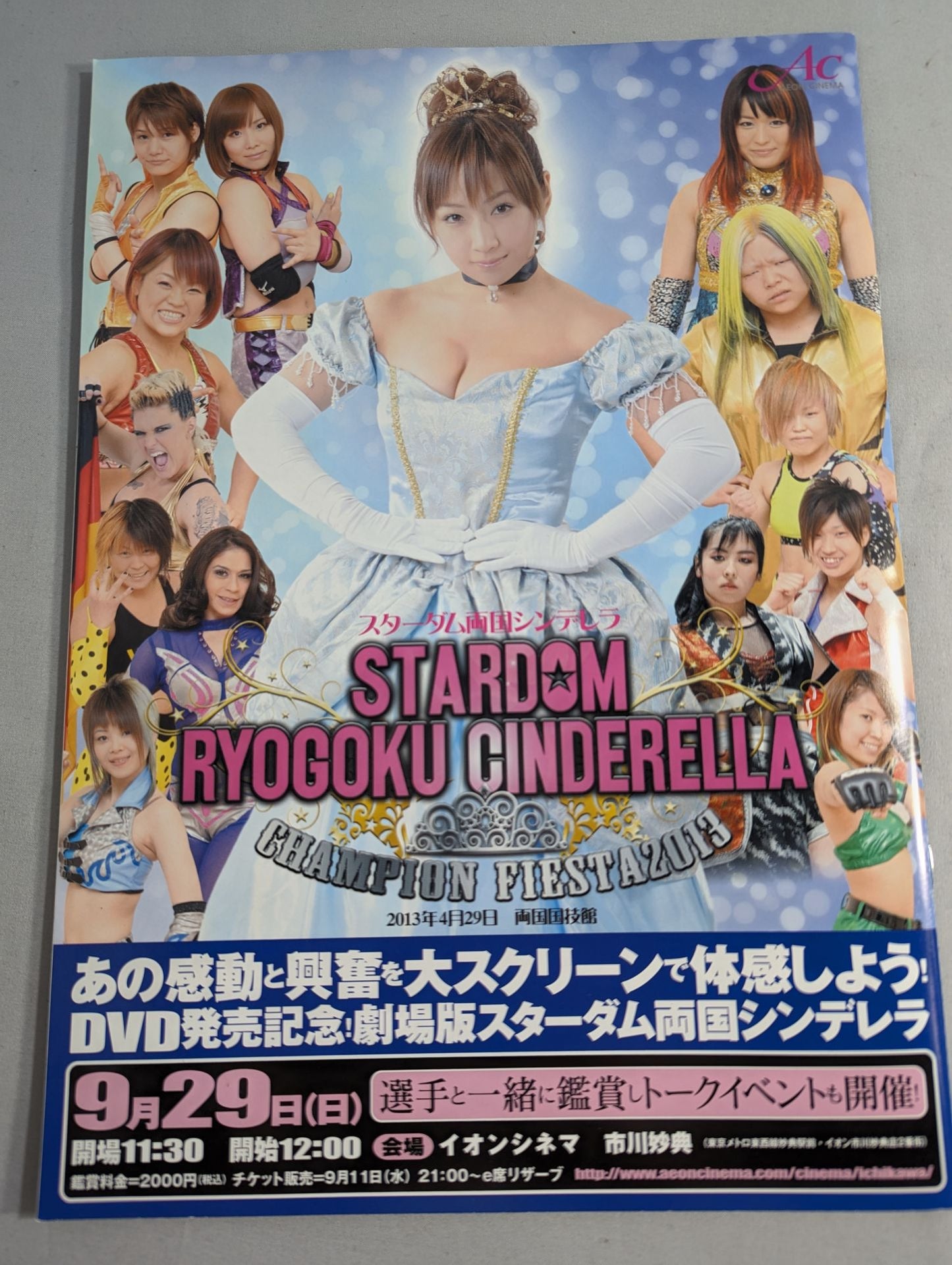 STARDOM OFFICIAL GUIDE BOOK Vol.37