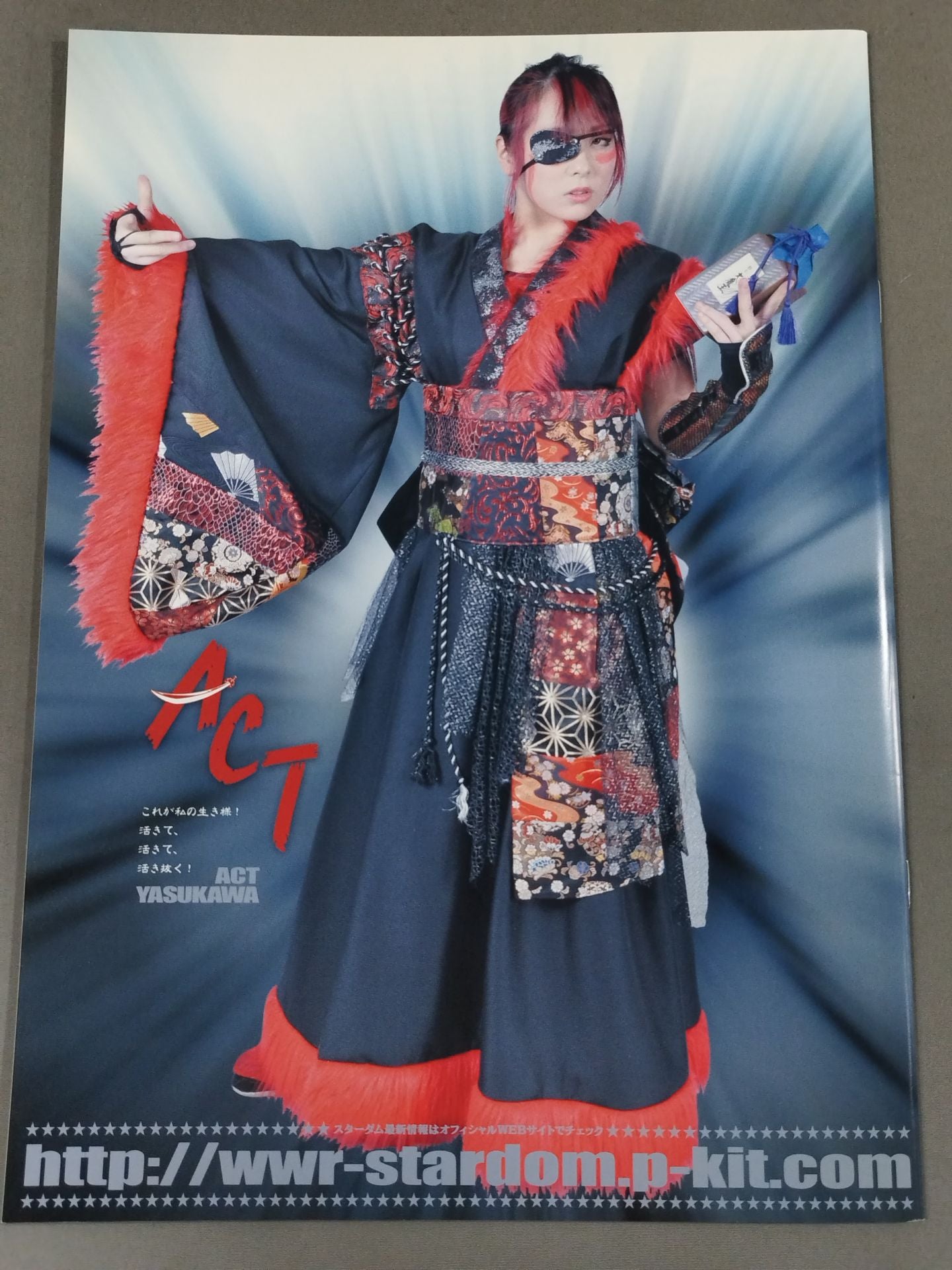 STARDOM OFFICIAL GUIDE BOOK Vol.44