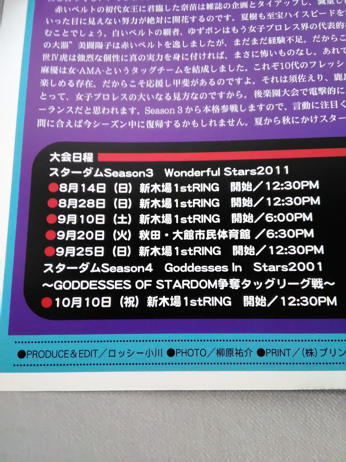 STARDOM OFFICIAL GUIDE BOOK Vol.6