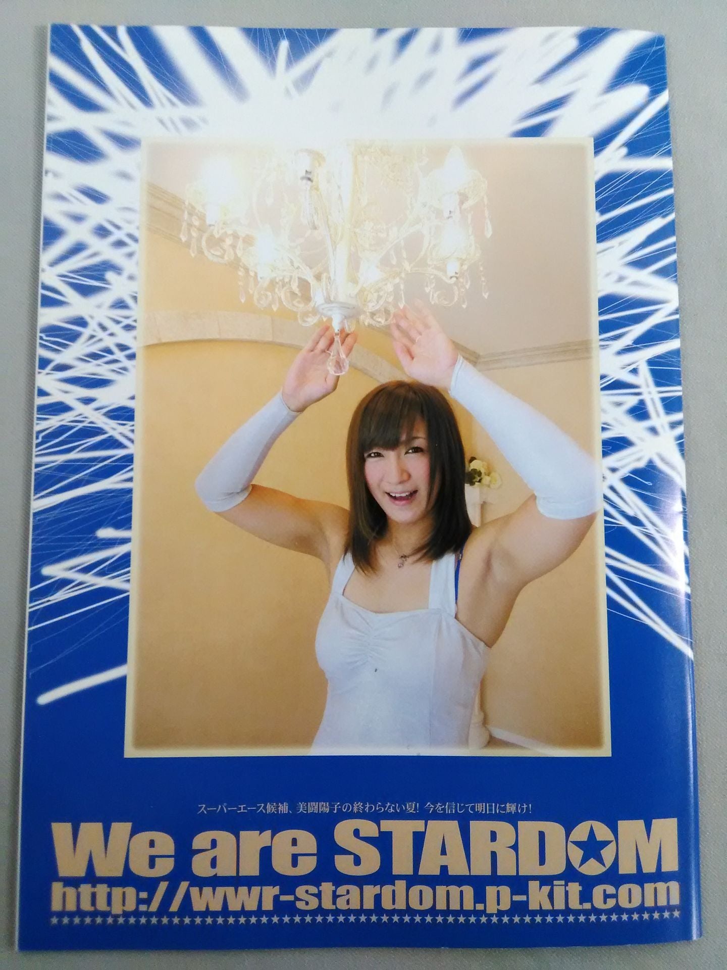 STARDOM OFFICIAL GUIDE BOOK Vol.6