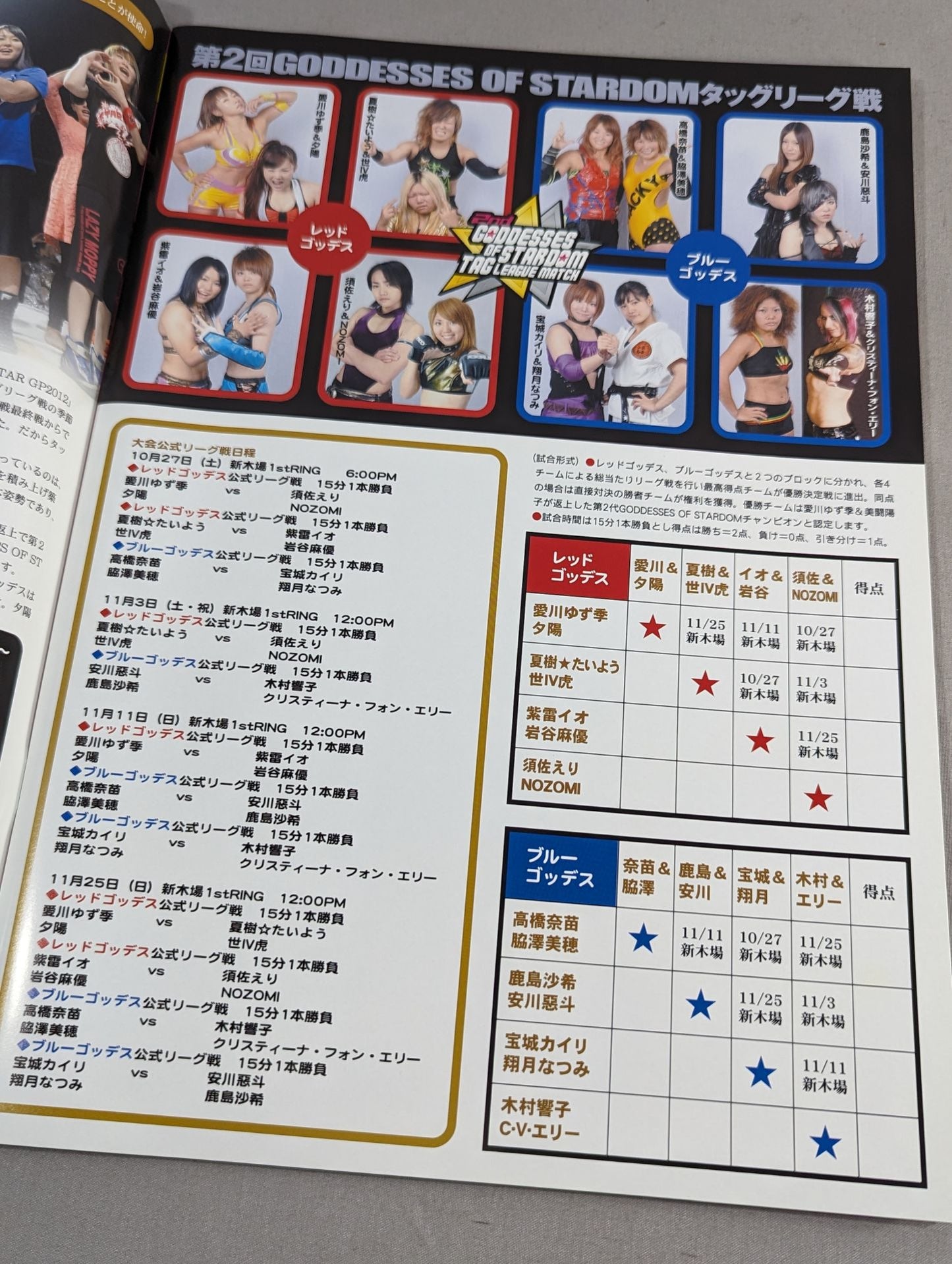 STARDOM OFFICIAL GUIDE BOOK Vol.23