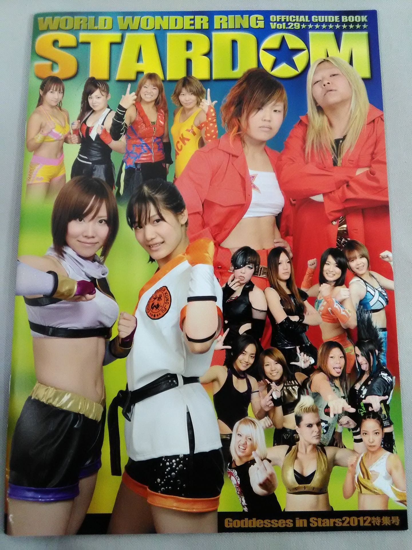 STARDOM OFFICIAL GUIDE BOOK Vol.29