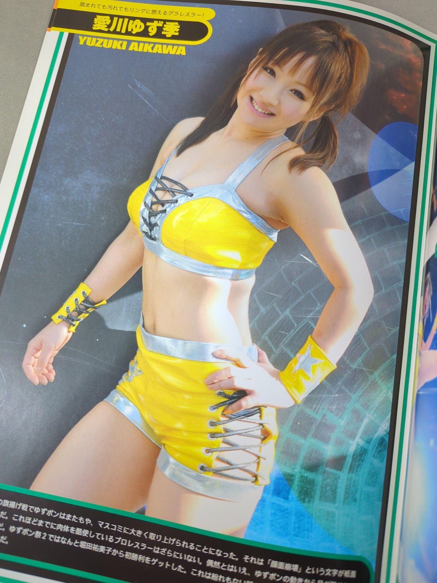 STARDOM OFFICIAL GUIDE BOOK Vol.2