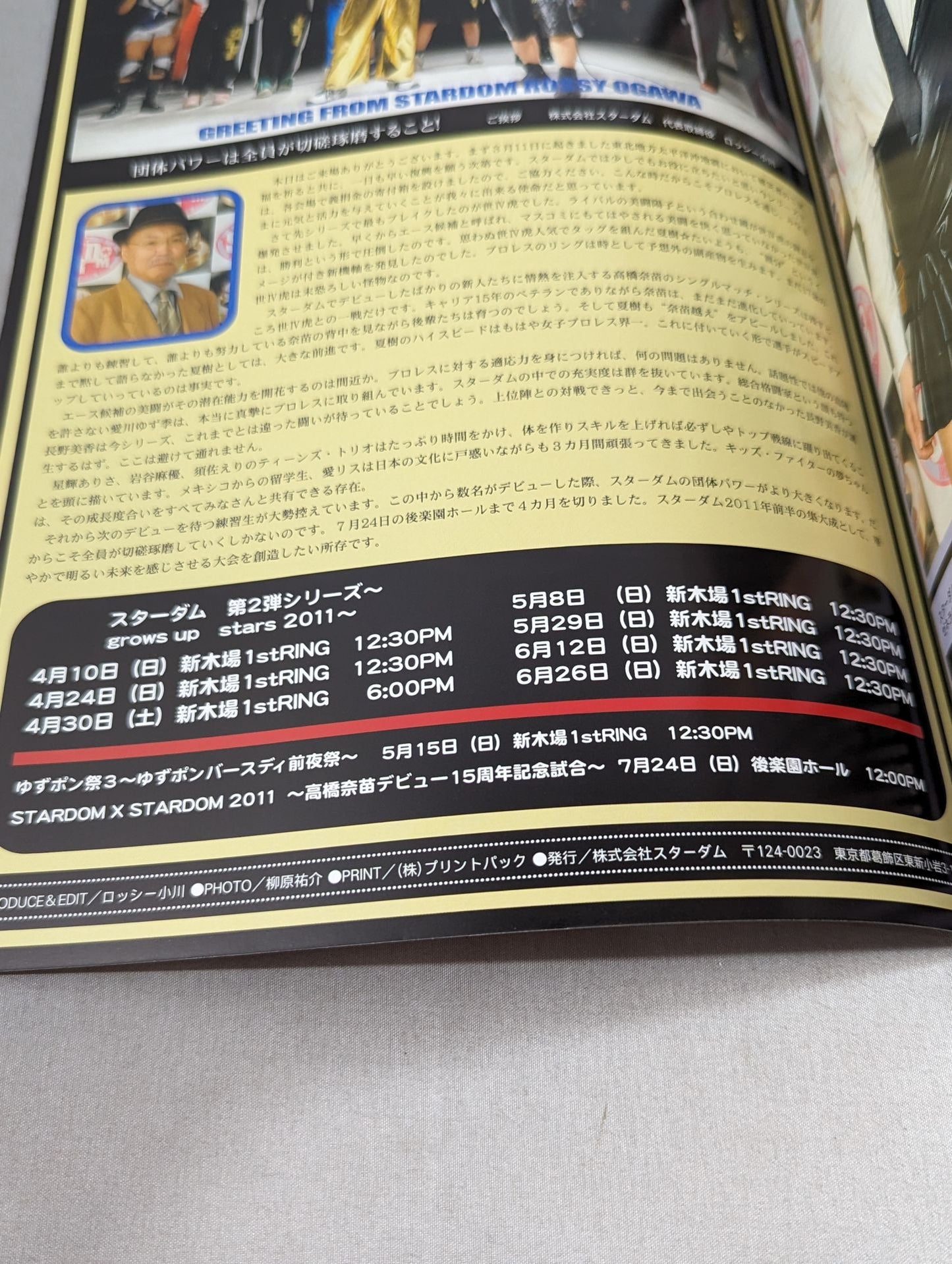 STARDOM OFFICIAL GUIDE BOOK Vol.3