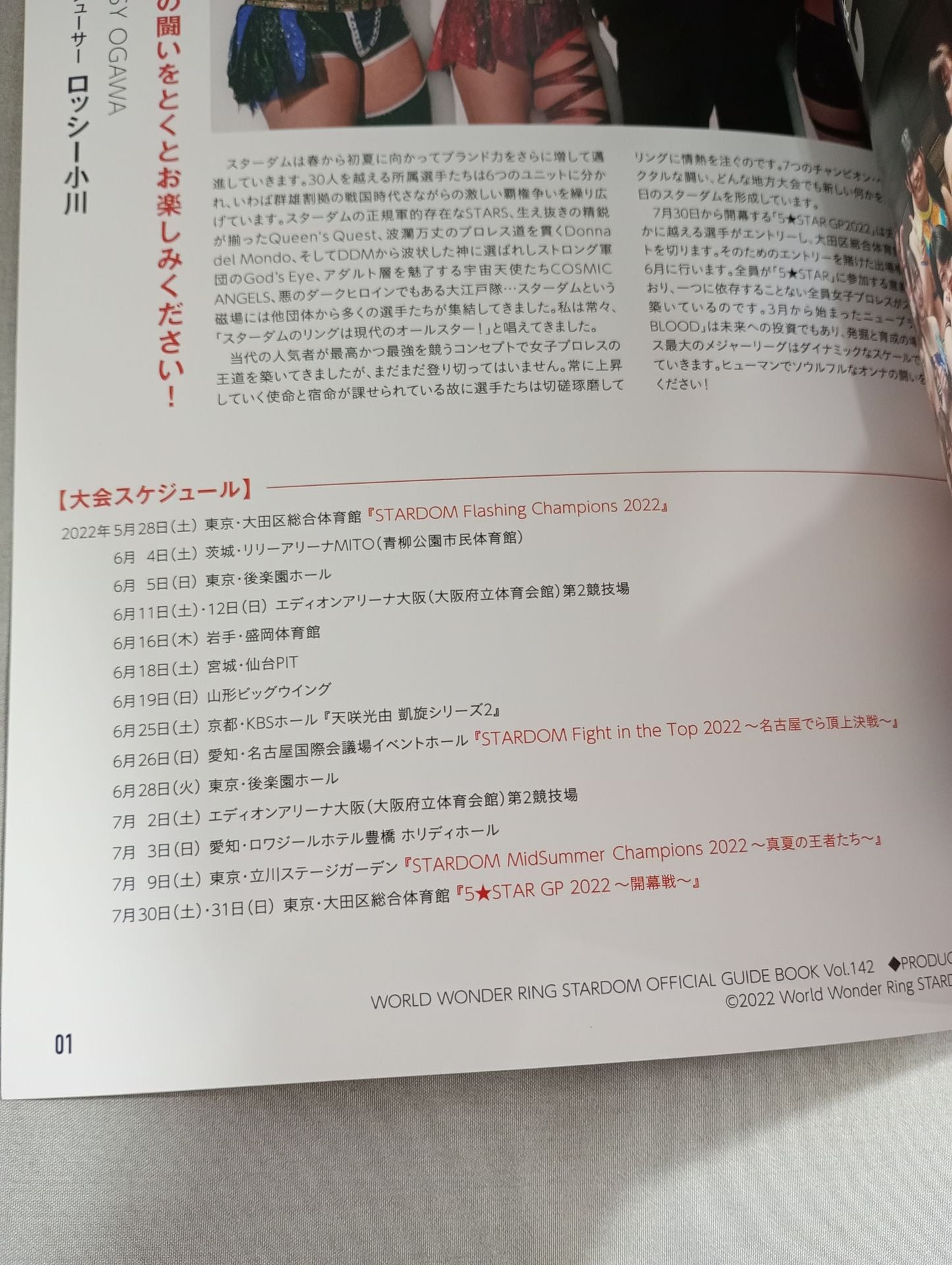 STARDOM OFFICIAL GUIDE BOOK Vol.142