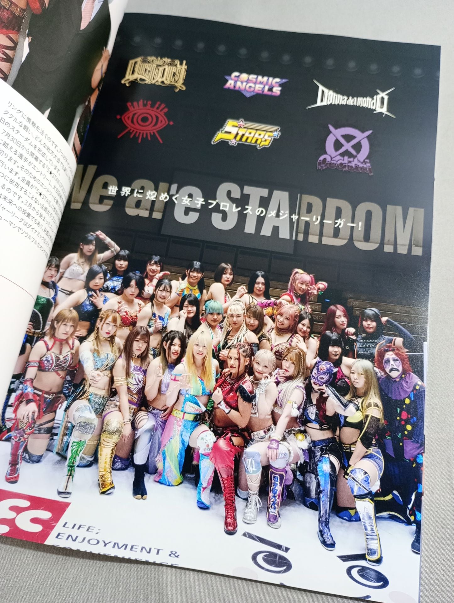 STARDOM OFFICIAL GUIDE BOOK Vol.142