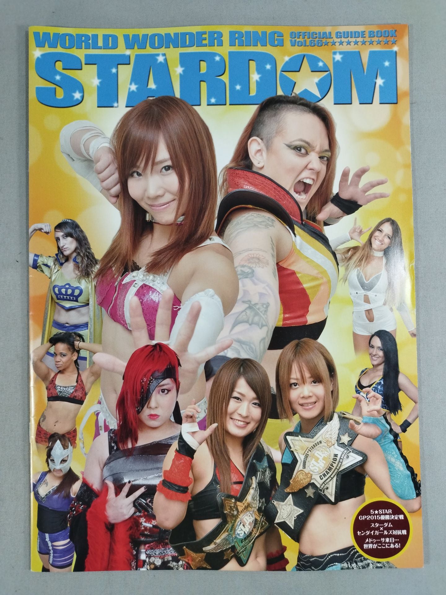 STARDOM OFFICIAL GUIDE BOOK Vol.66