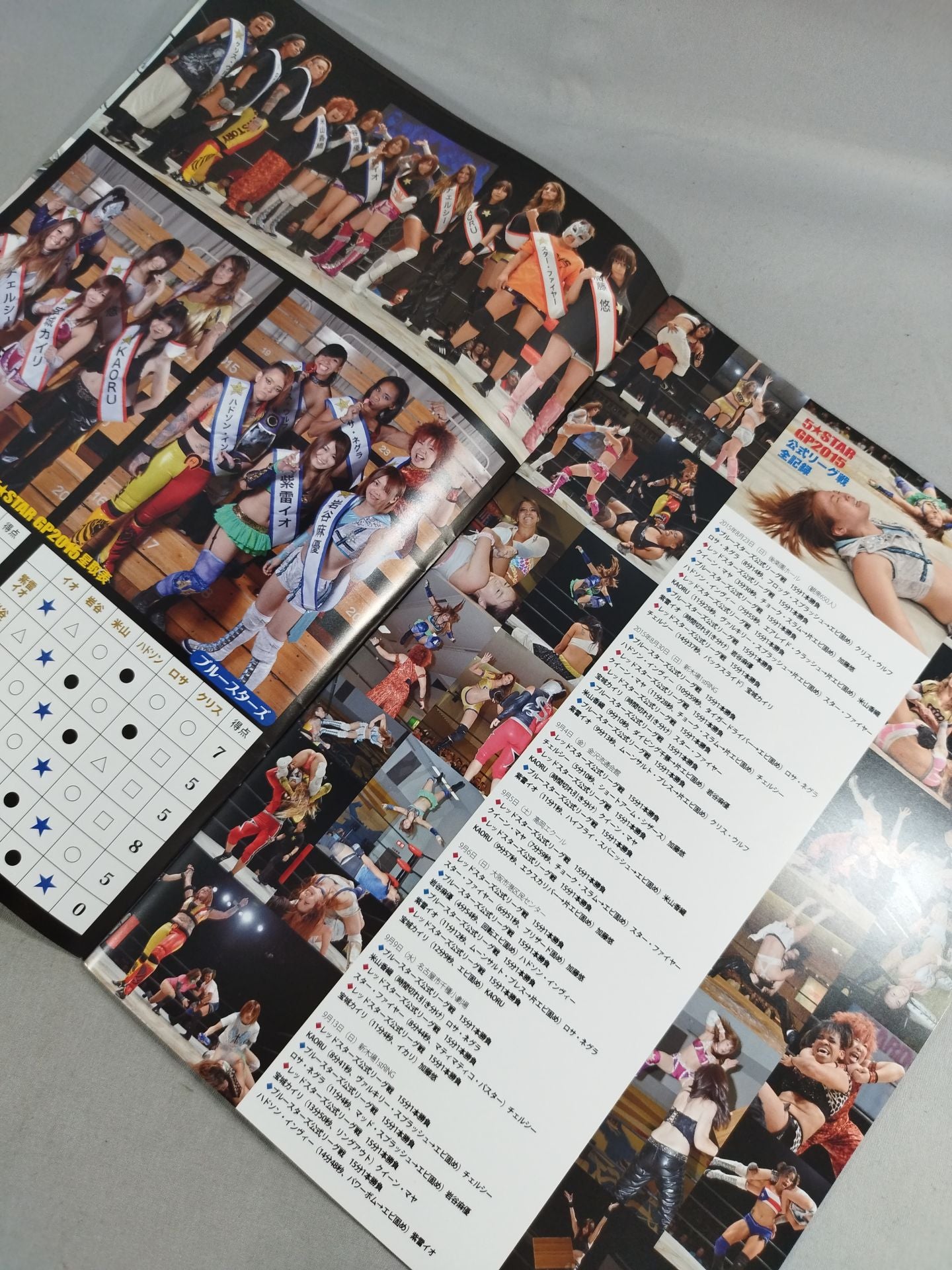 STARDOM OFFICIAL GUIDE BOOK Vol.66