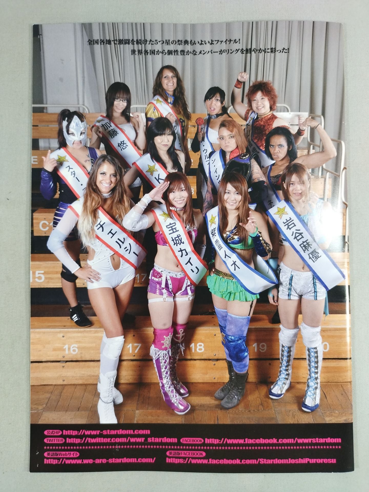 STARDOM OFFICIAL GUIDE BOOK Vol.66